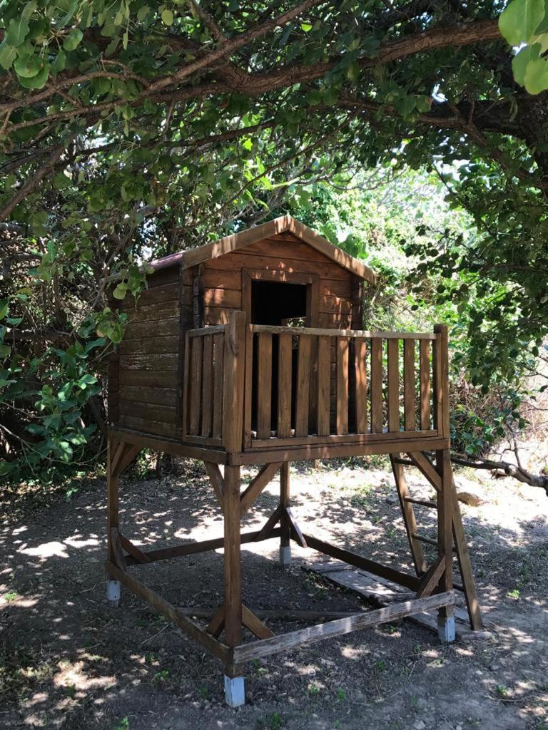 Vacation Home photo 2
