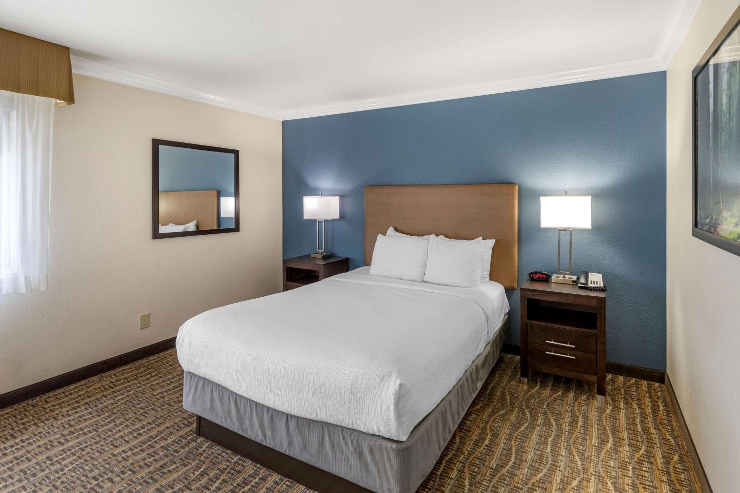 Accessible Suite photo 1