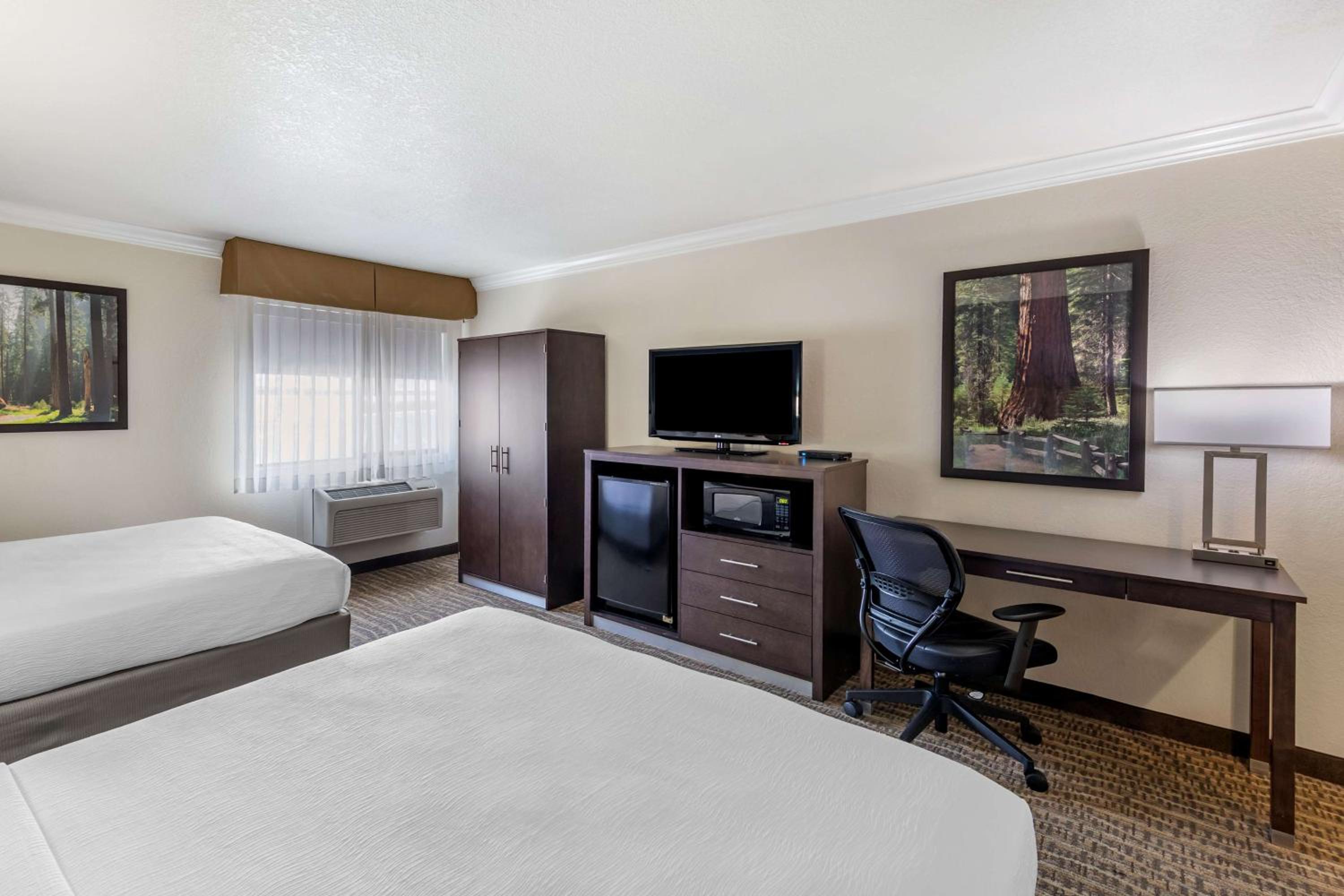 Queen Room with Two Queen Beds and Roll-In Shower - Disability Access/Non-Smoking - Photo 3
