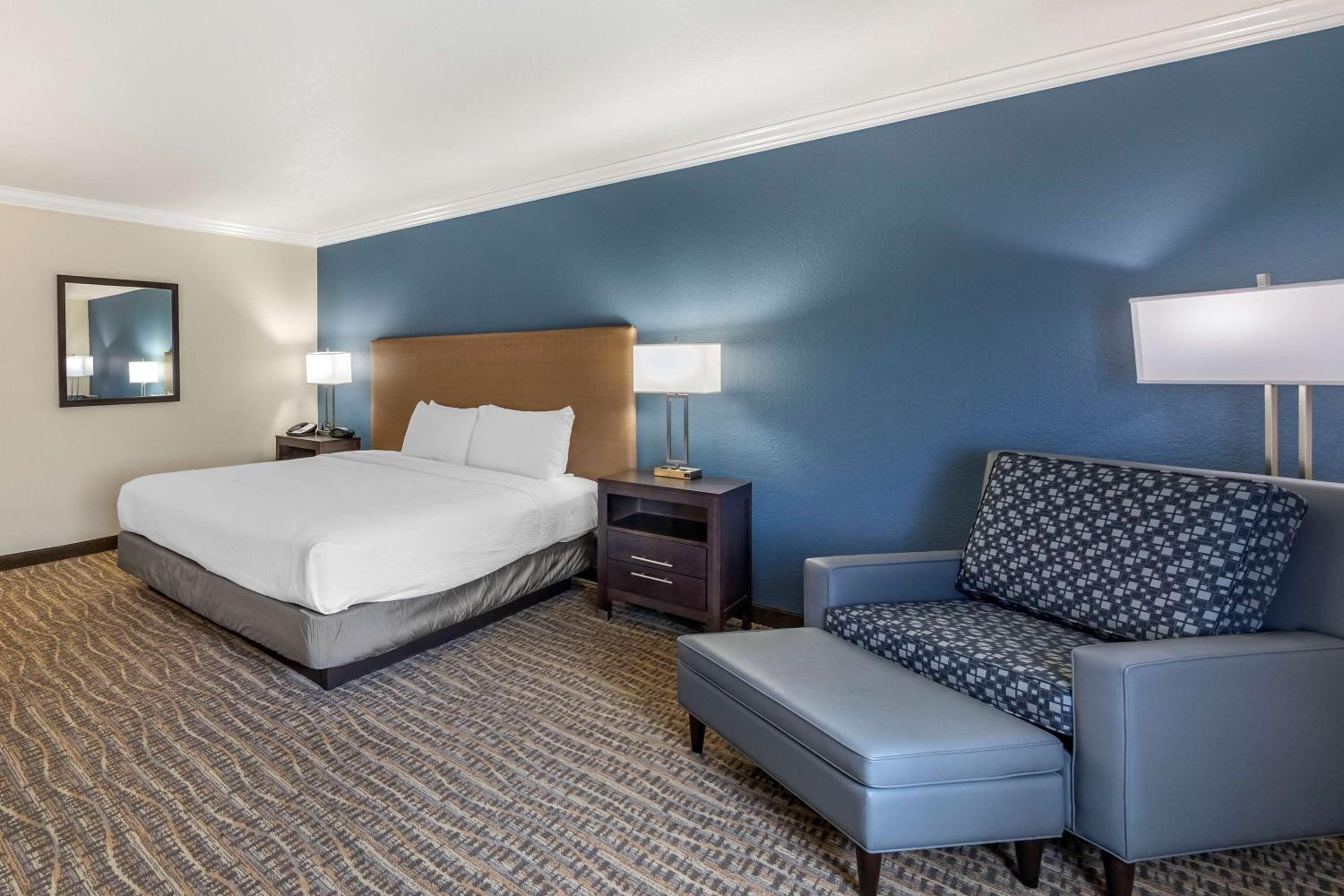 Accessible Suite photo 3
