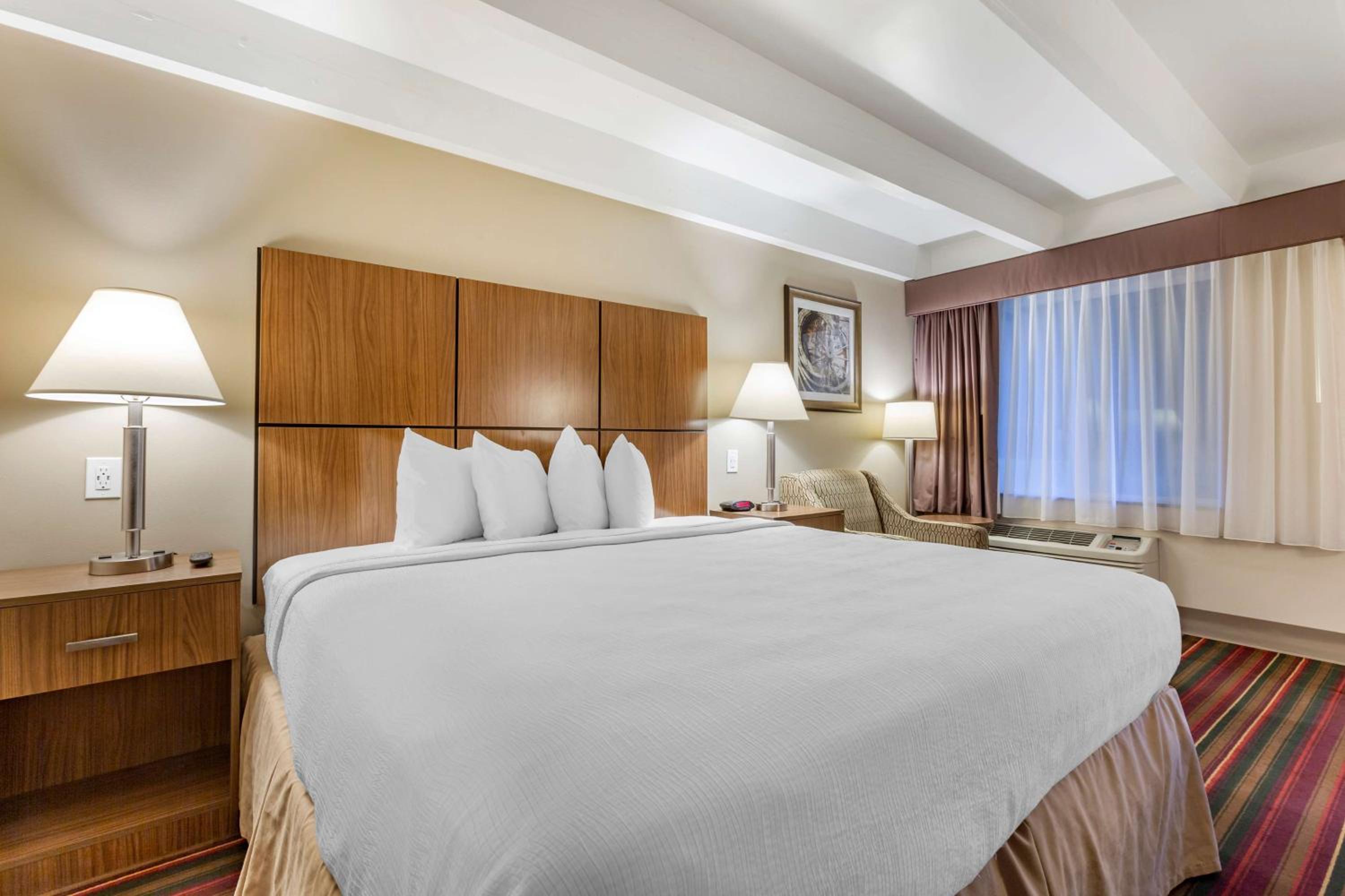 King Room photo 3