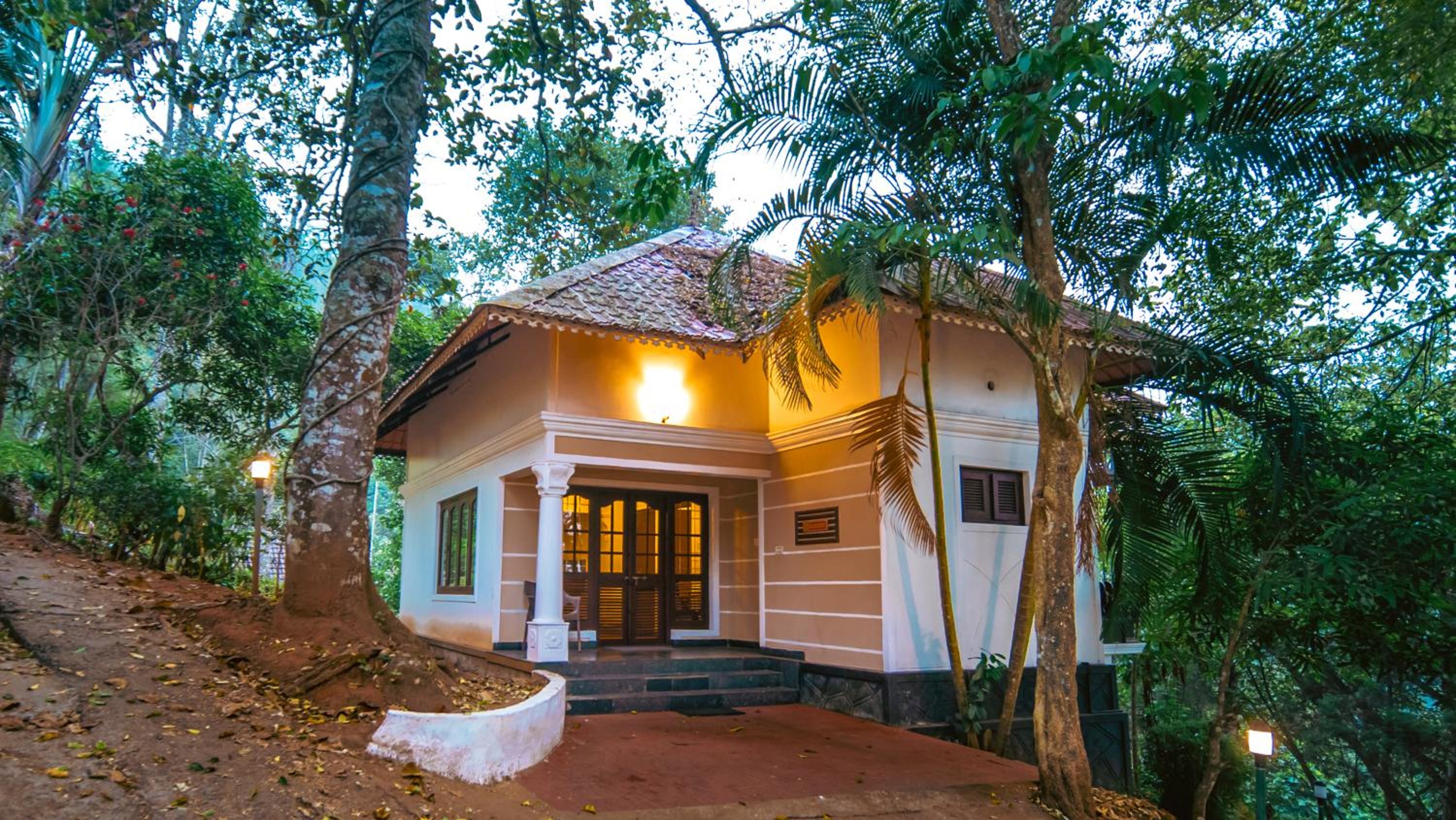 Mountain View Cottage - Photo 9