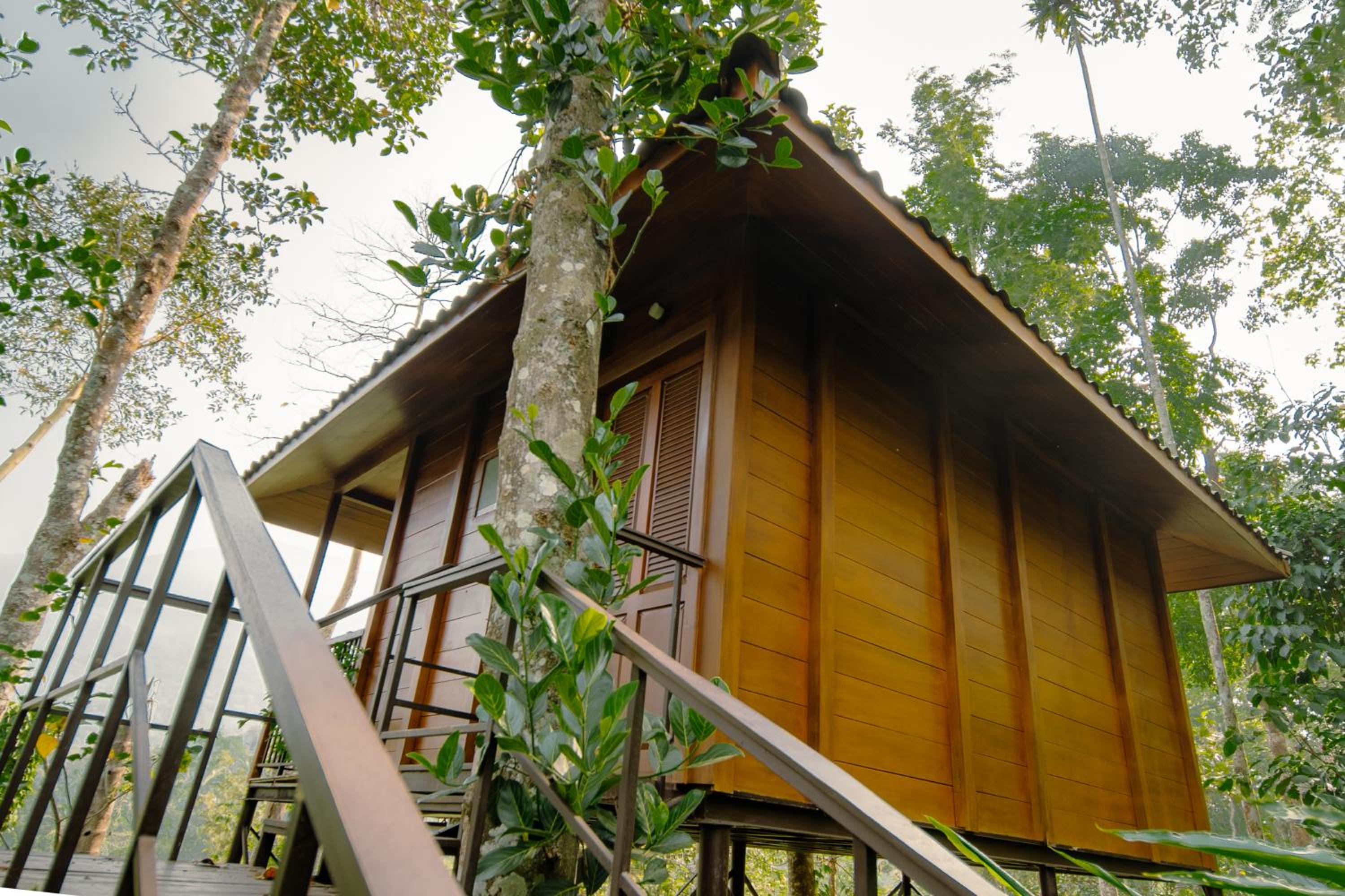Tree House - Photo 5
