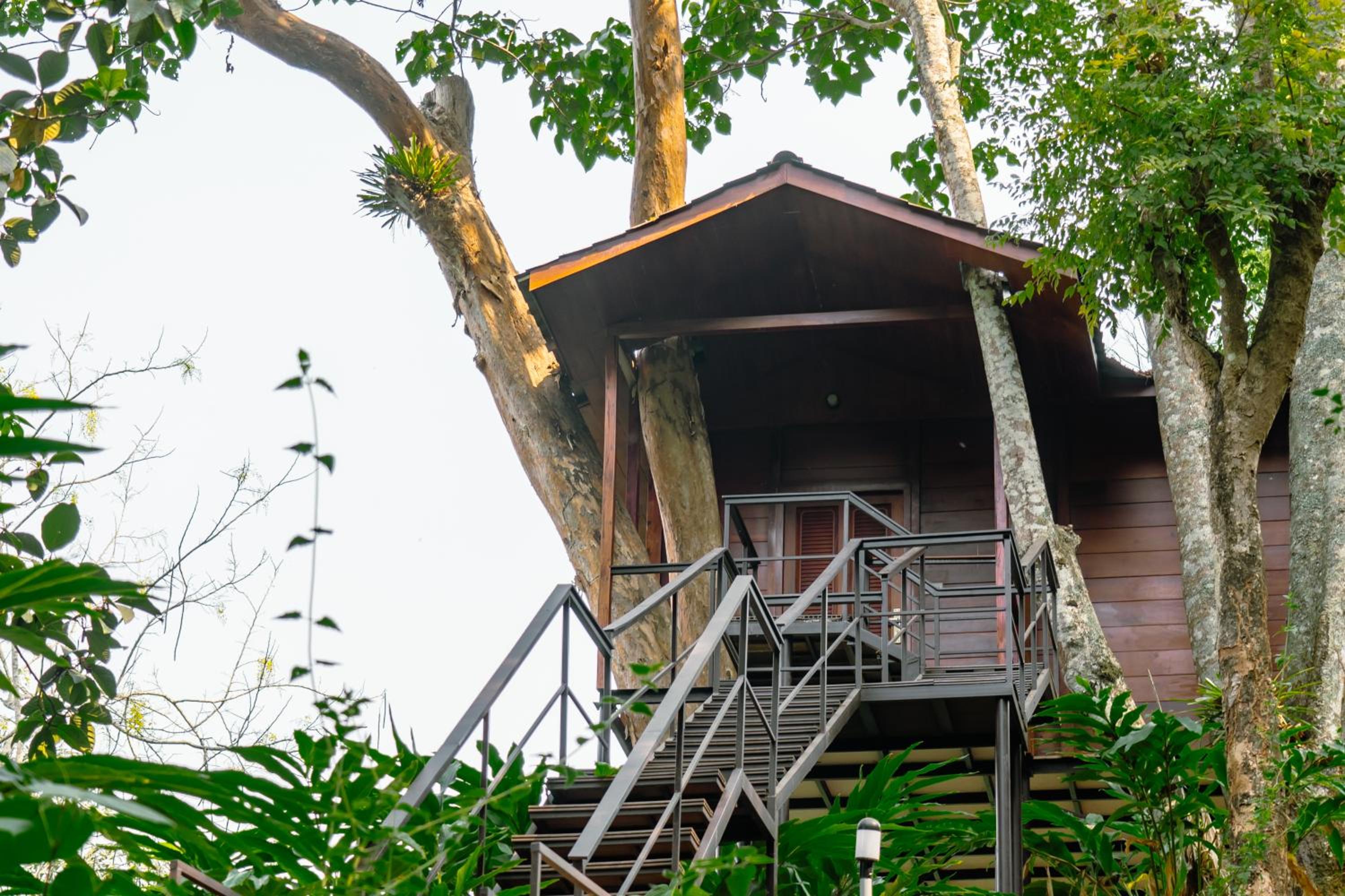 Tree House - Photo 6