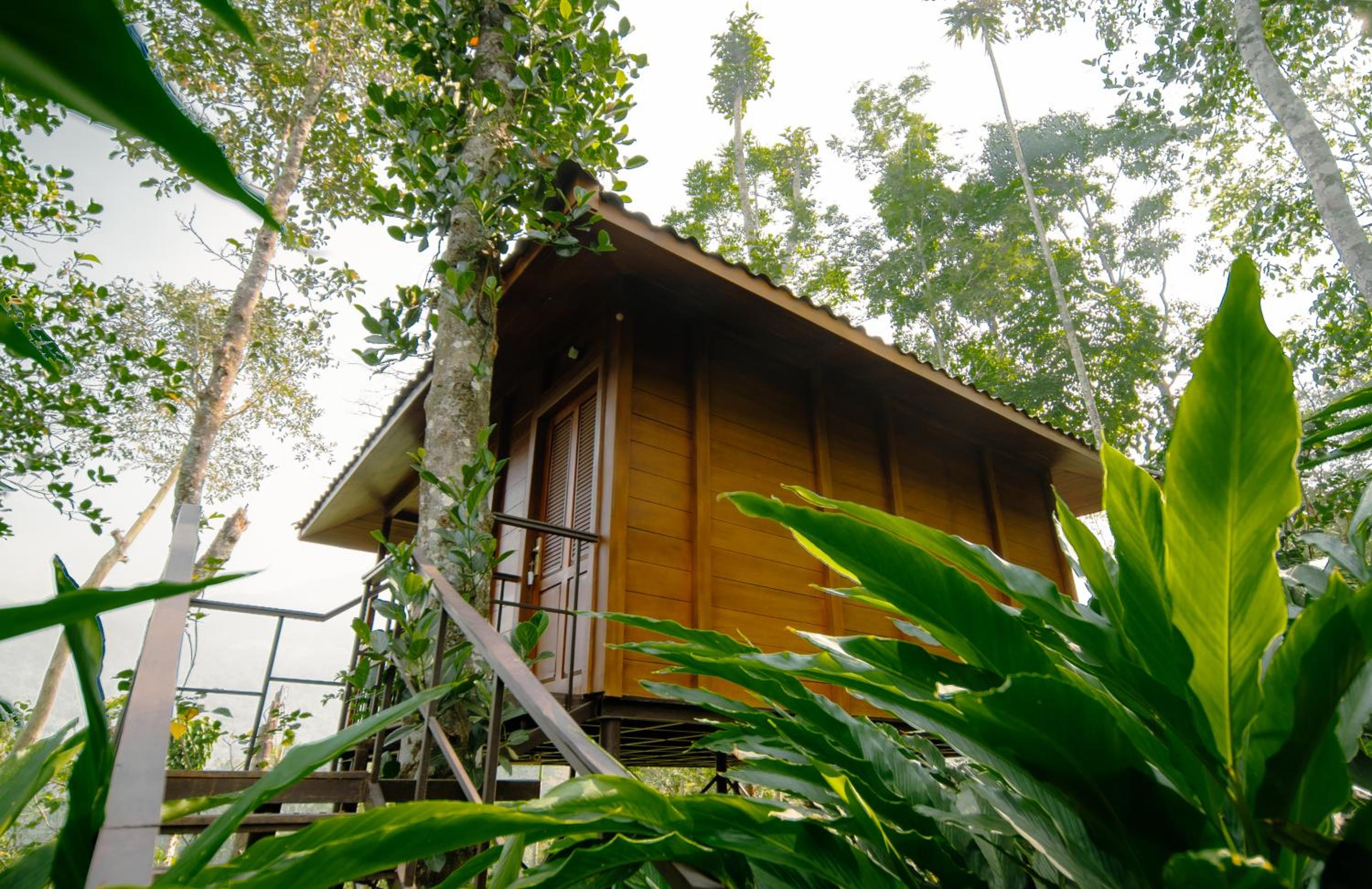 Tree House - Photo 7