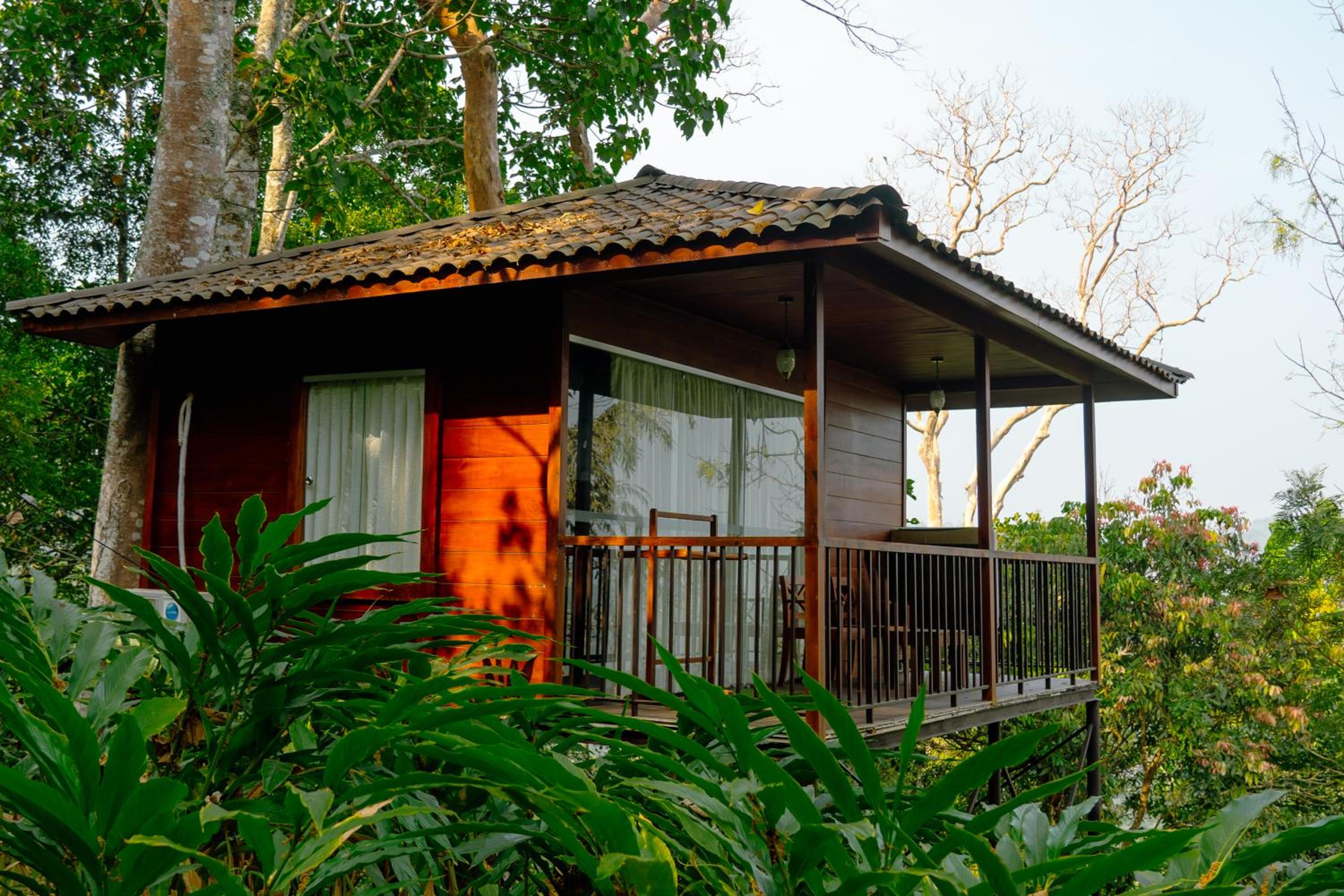 Tree House - Photo 8