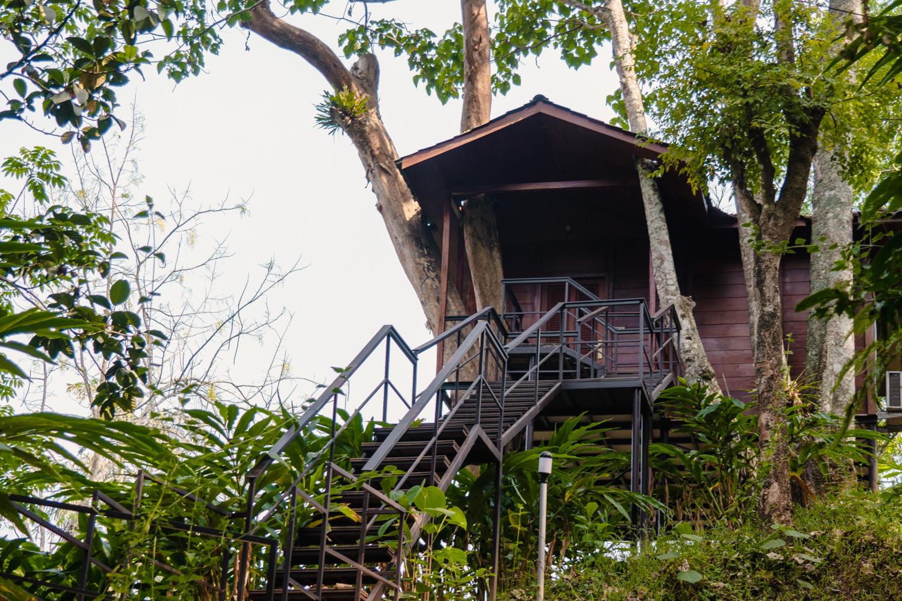 Tree House - Photo 4