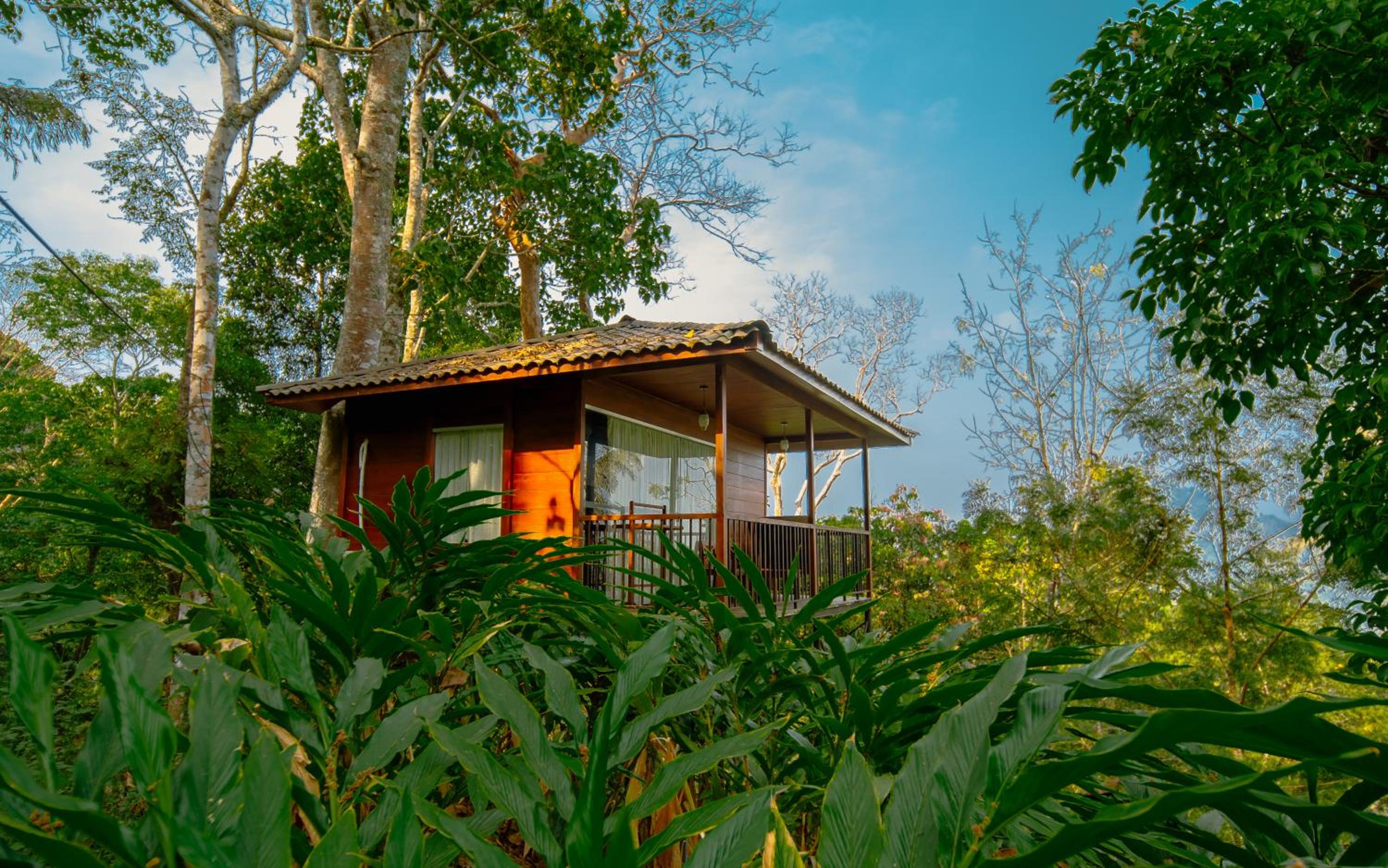 Tree House - Photo 10