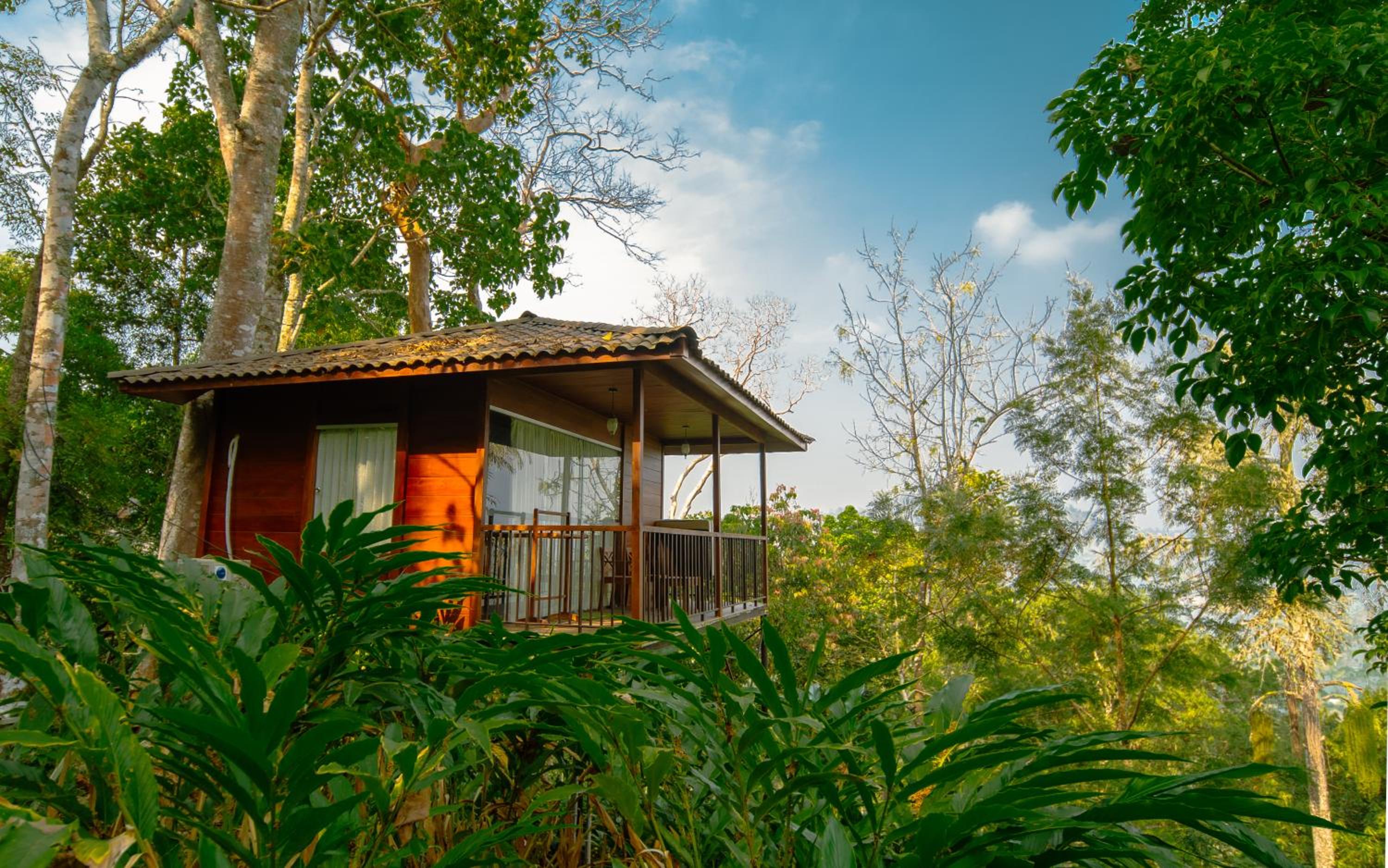 Tree House - Photo 11