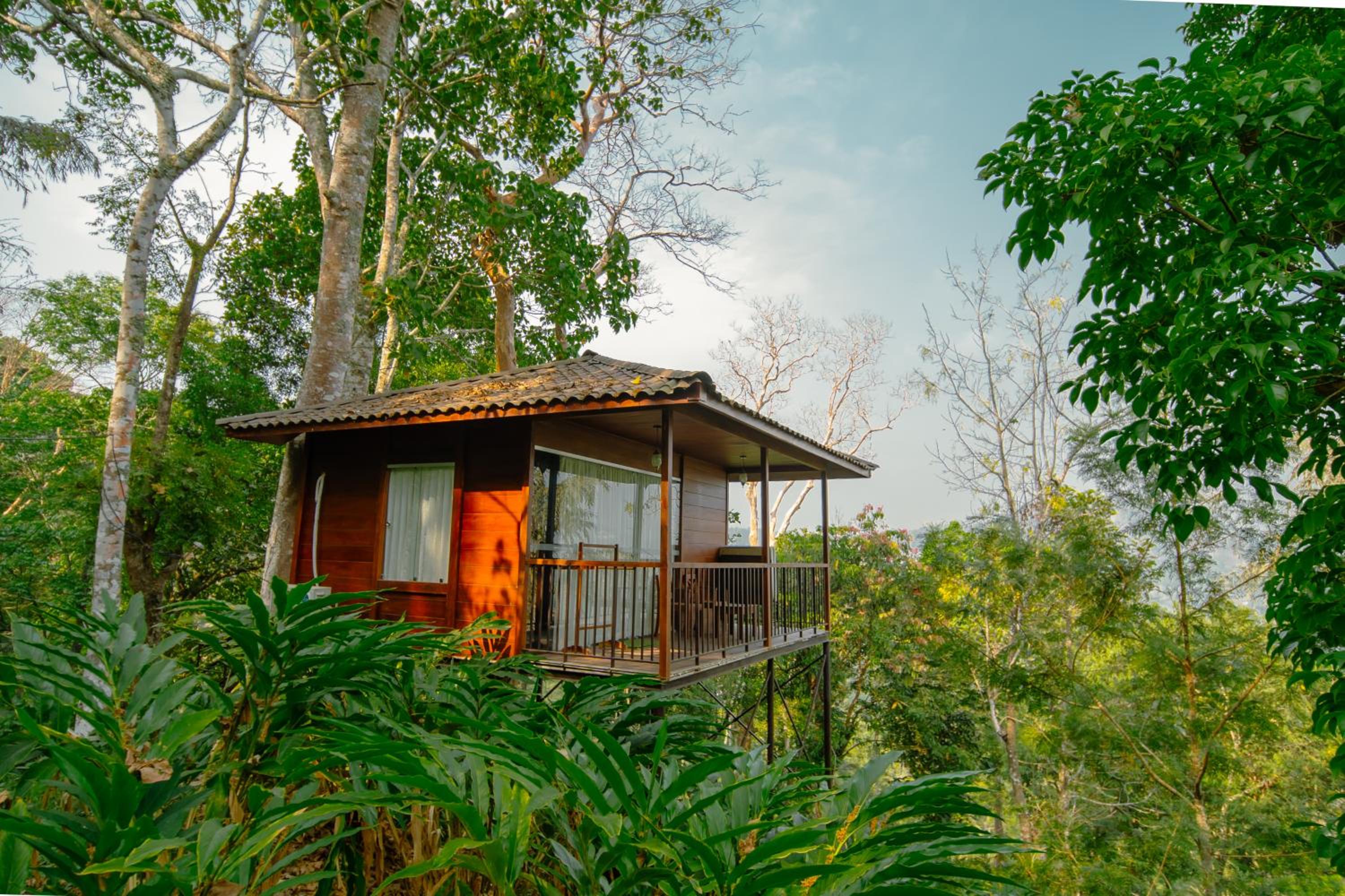 Tree House - Photo 20