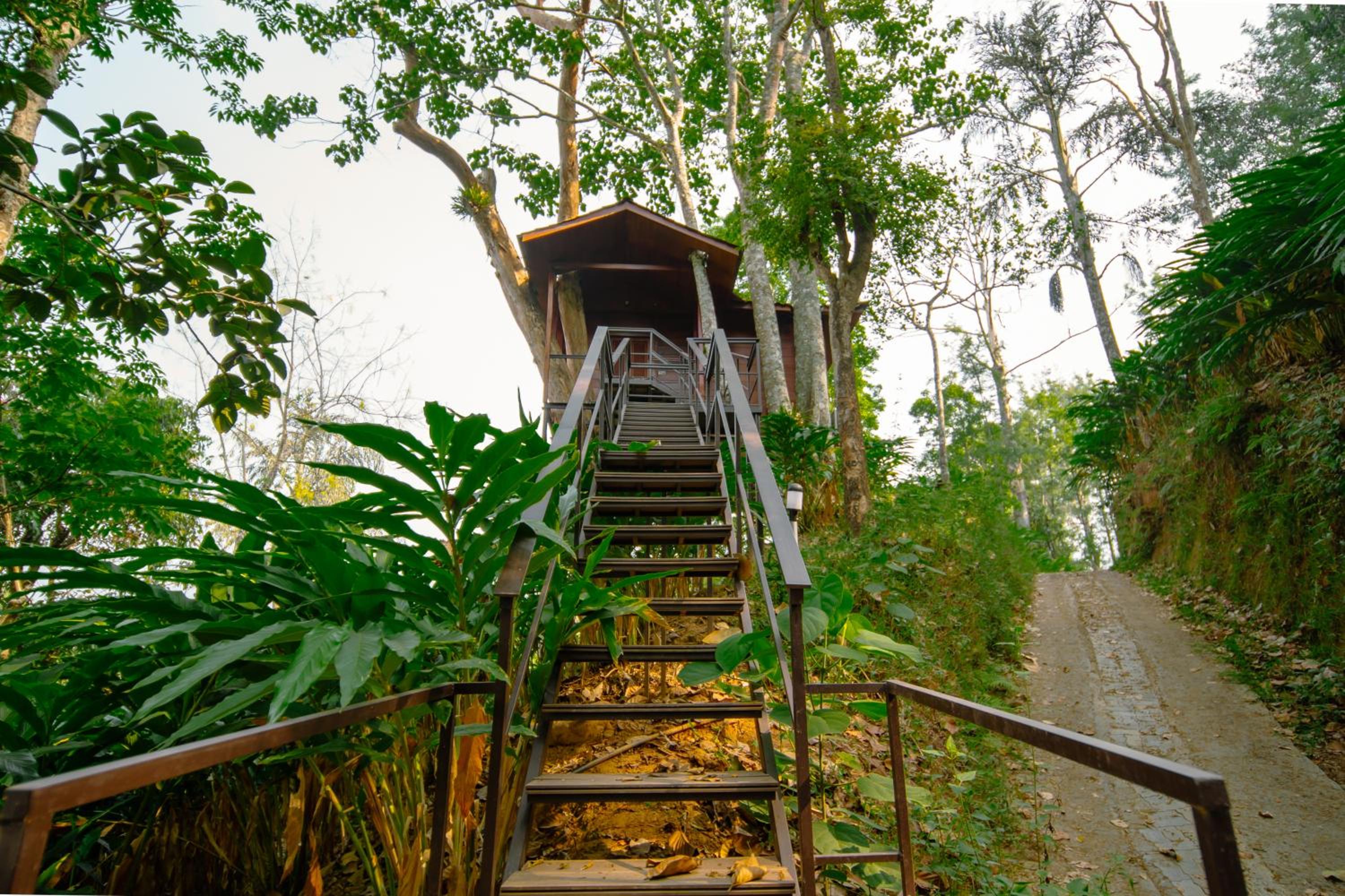 Tree House - Photo 19