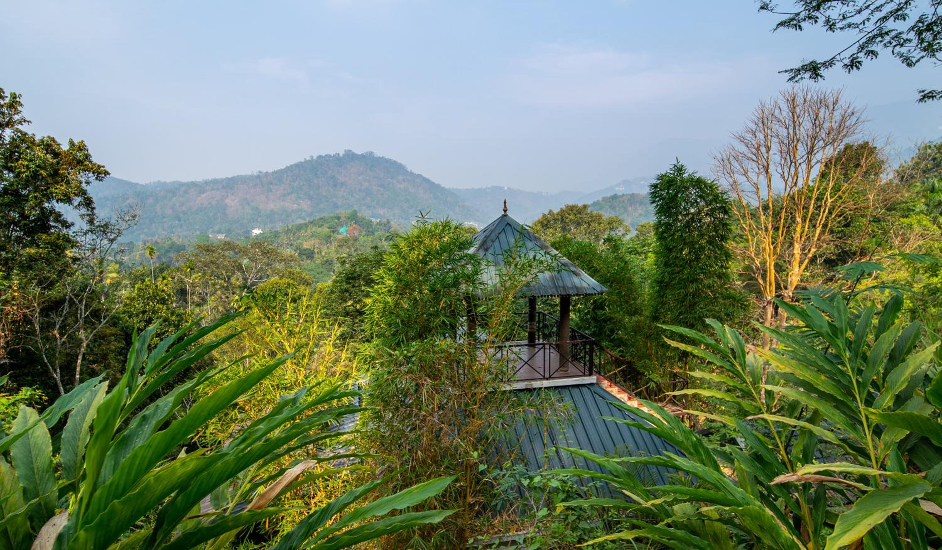 Tree House - Photo 12