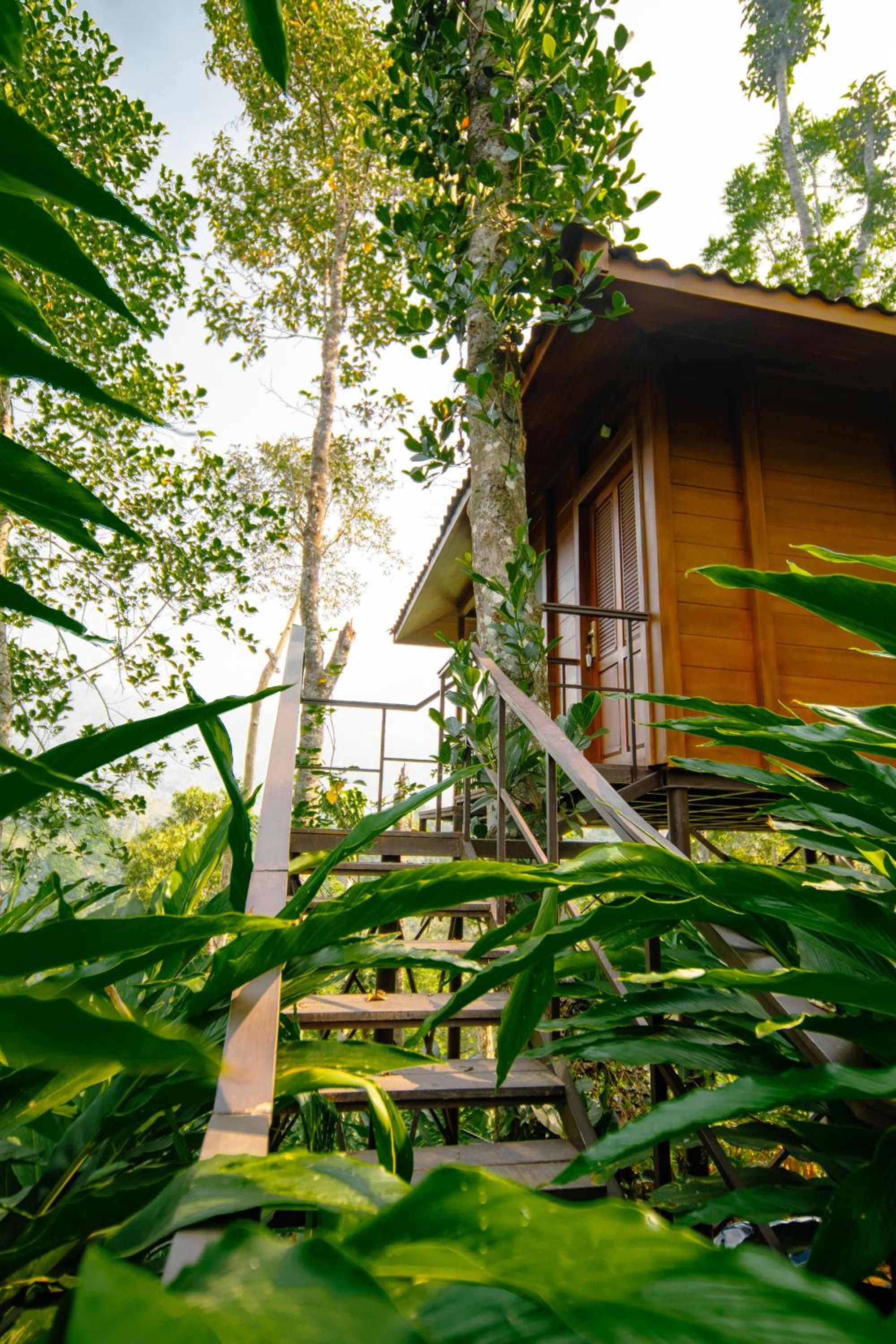 Tree House - Photo 13