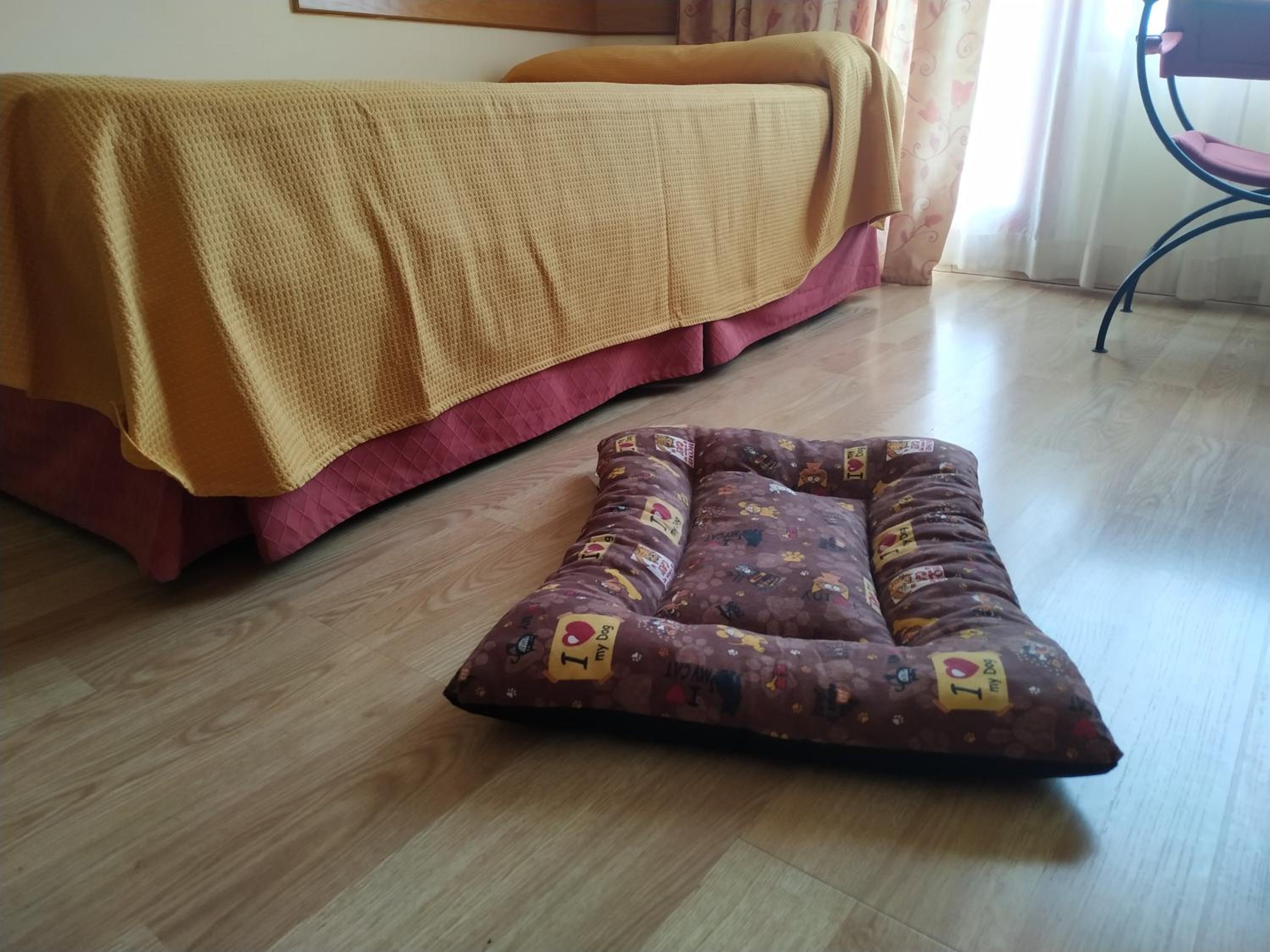 Twin Room photo 1