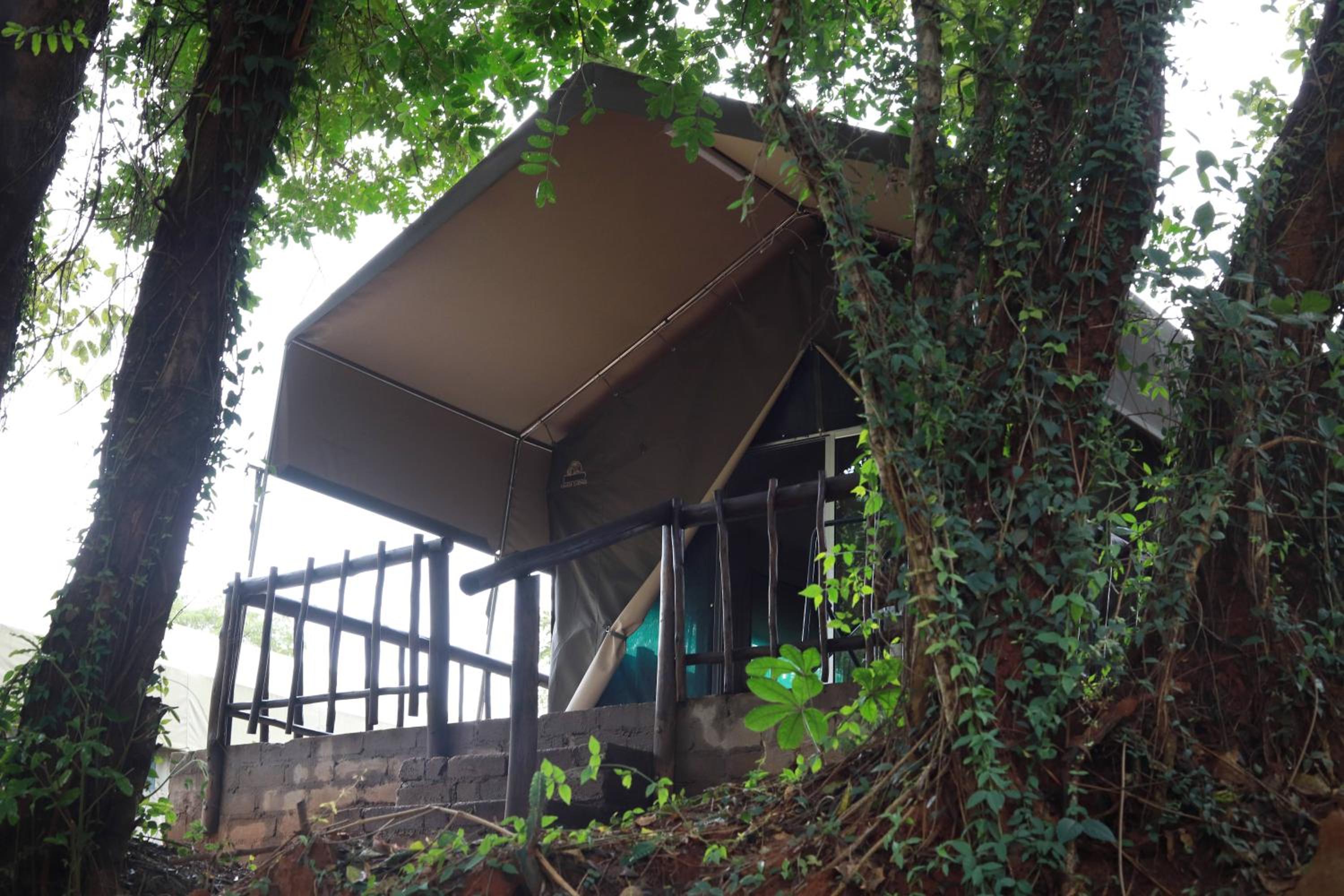 Luxury Tent - Photo 18