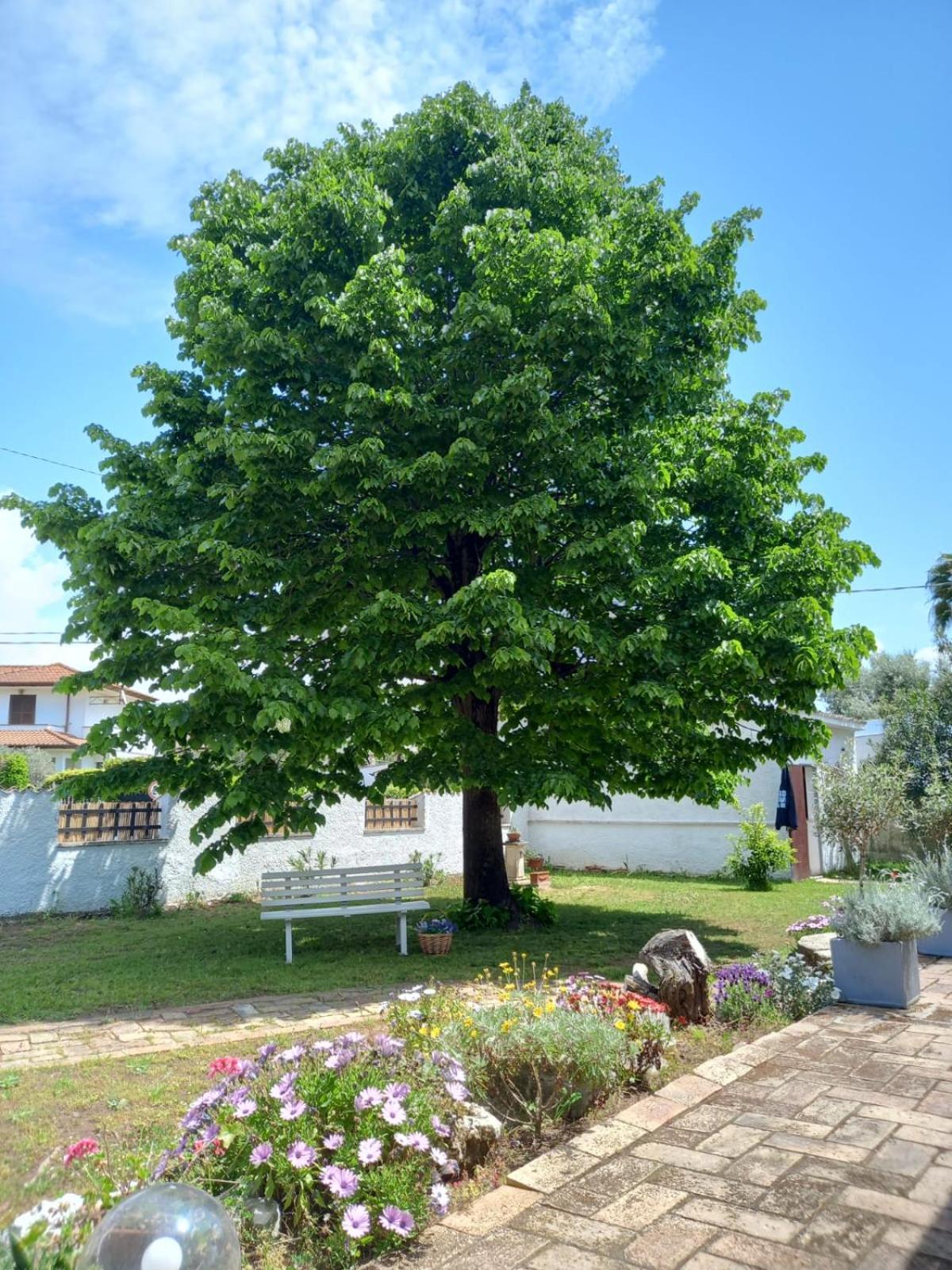 Villa - Photo 36