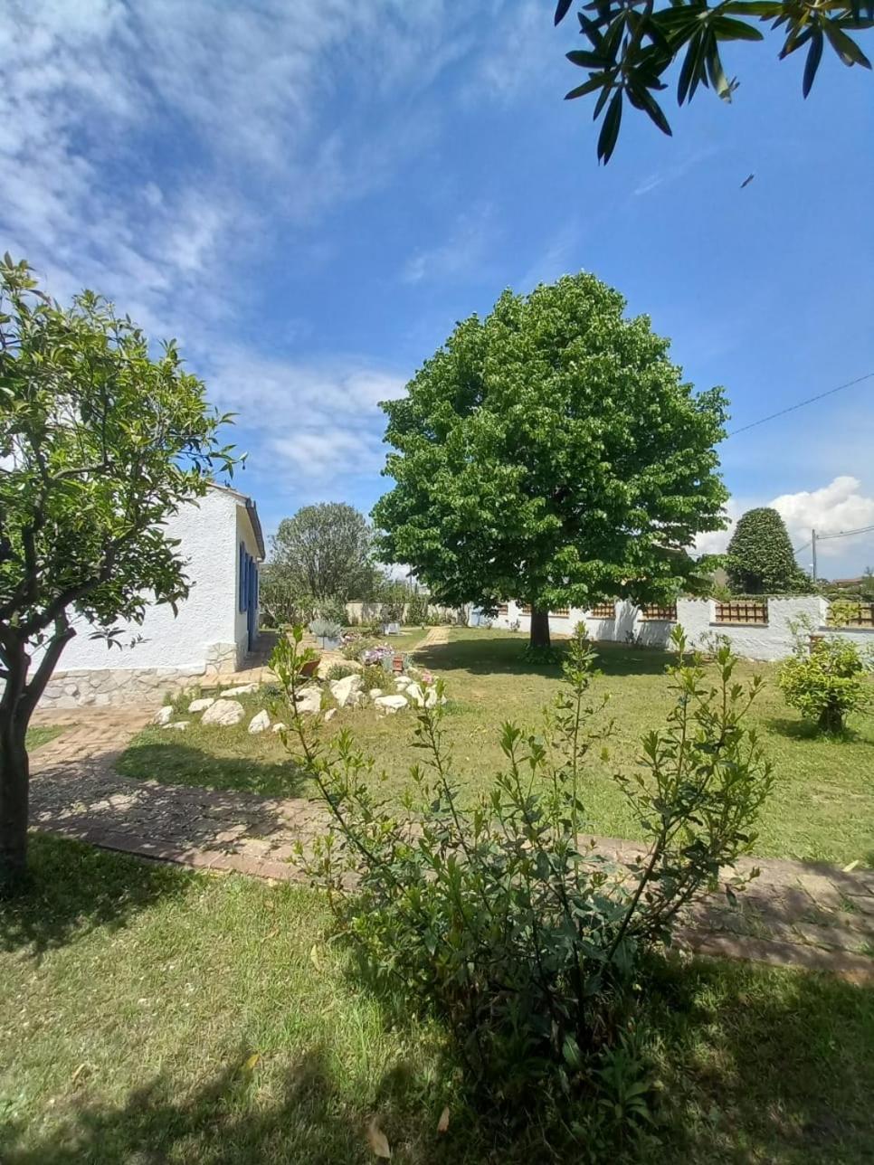 Villa - Photo 34