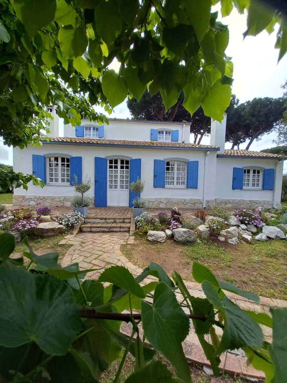 Villa - Photo 5