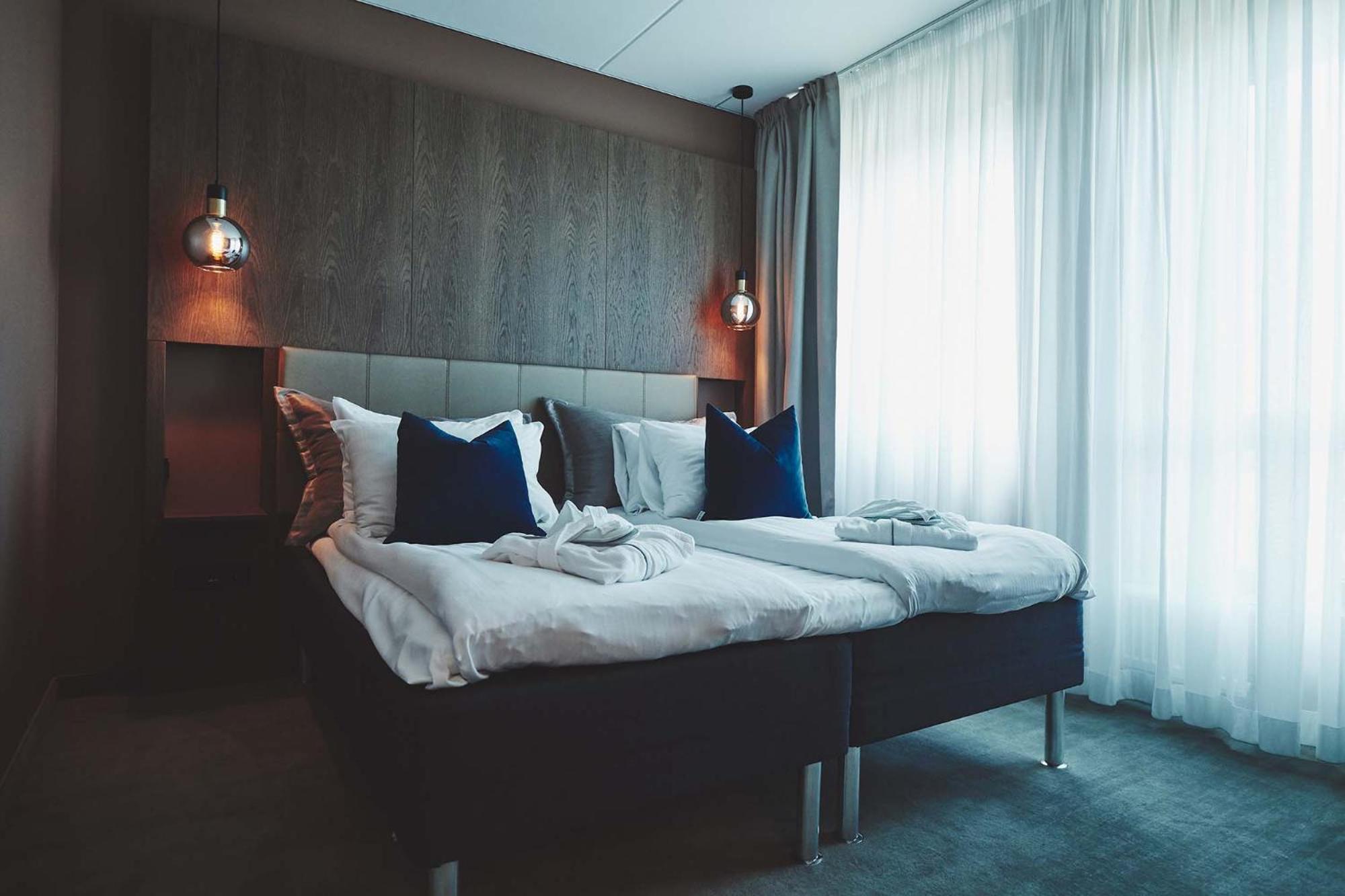 Suite - Photo 2