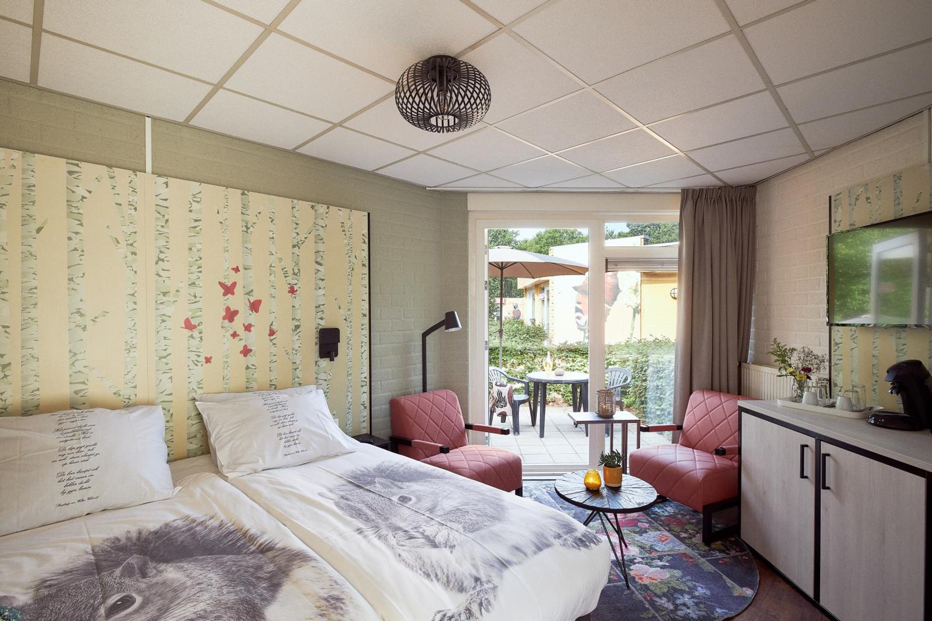 Room Butterfly photo 3