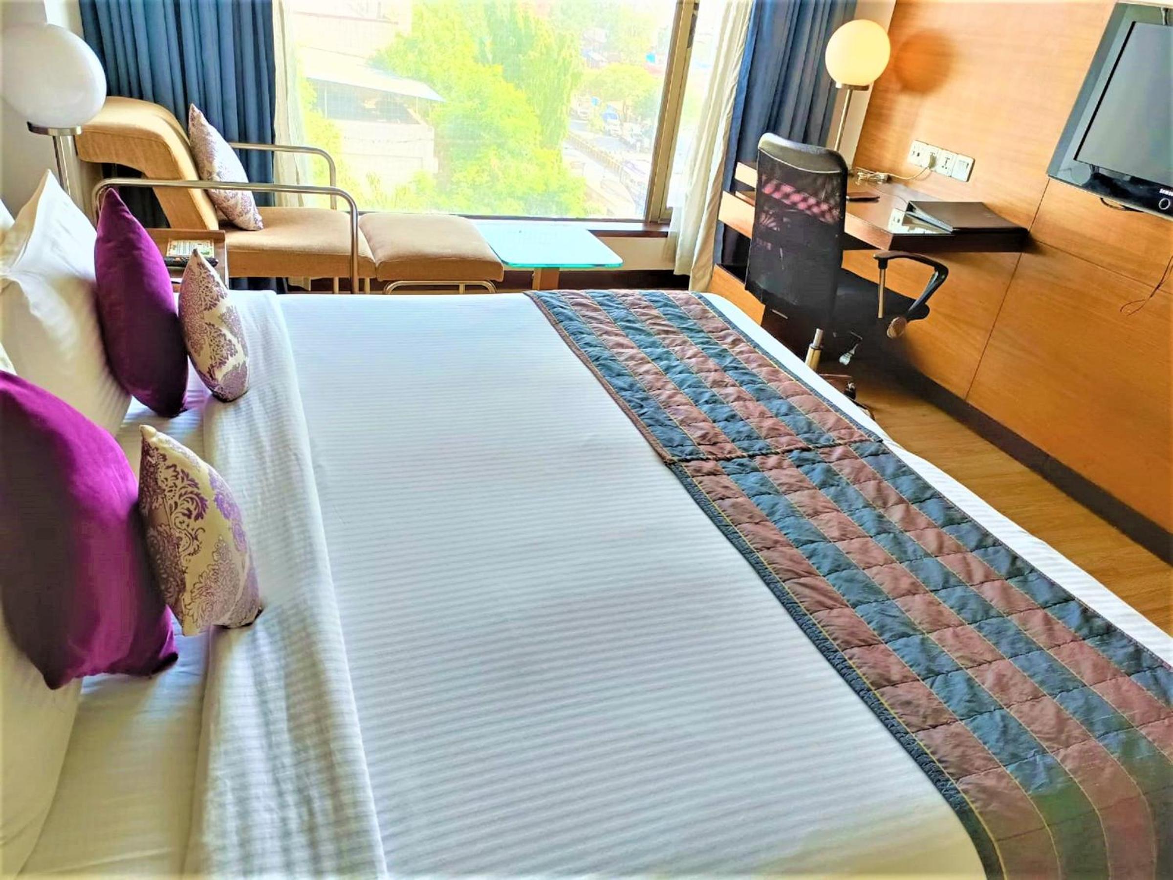 Suite photo 2