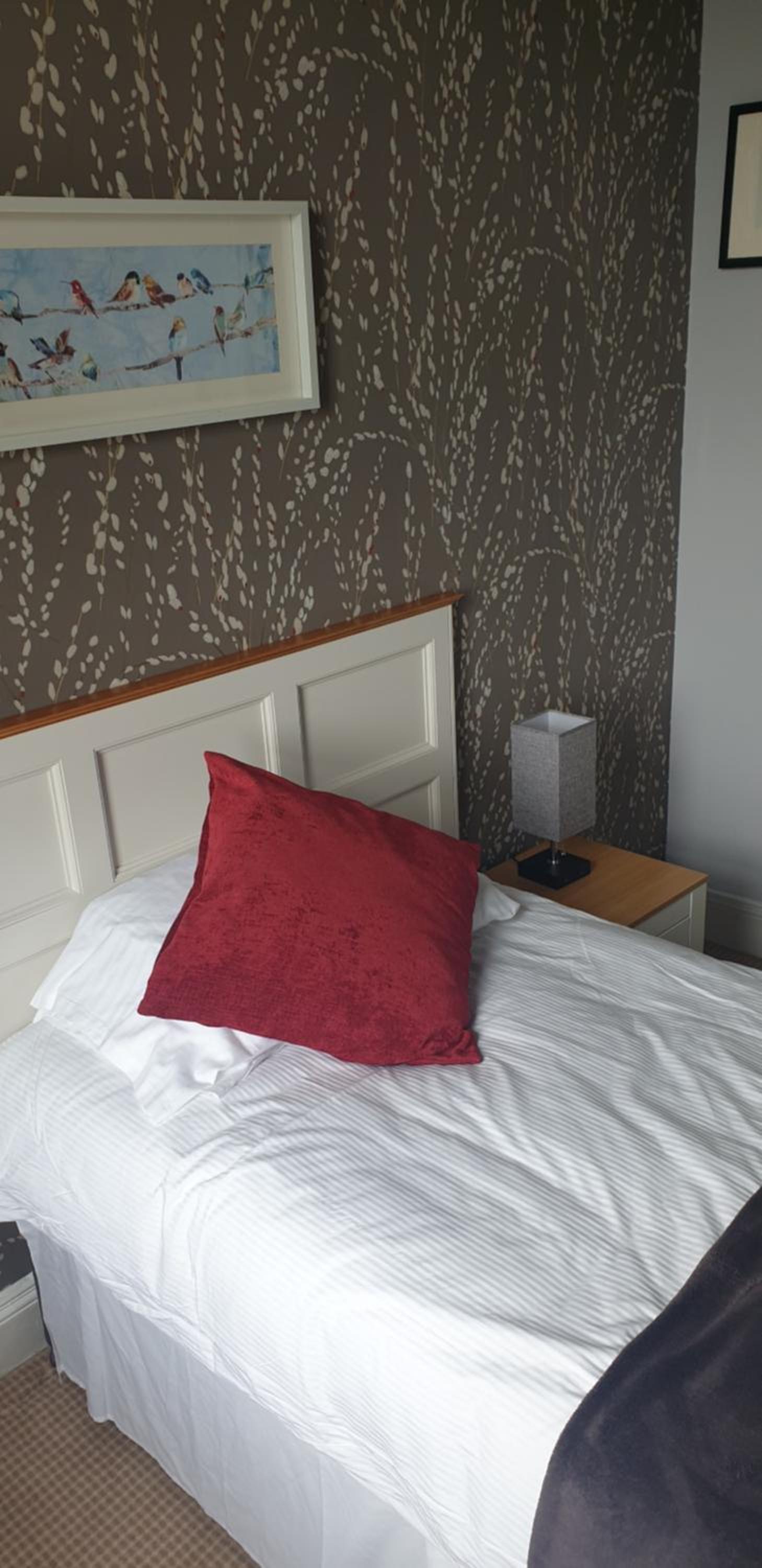 Single Room with Shower photo 3