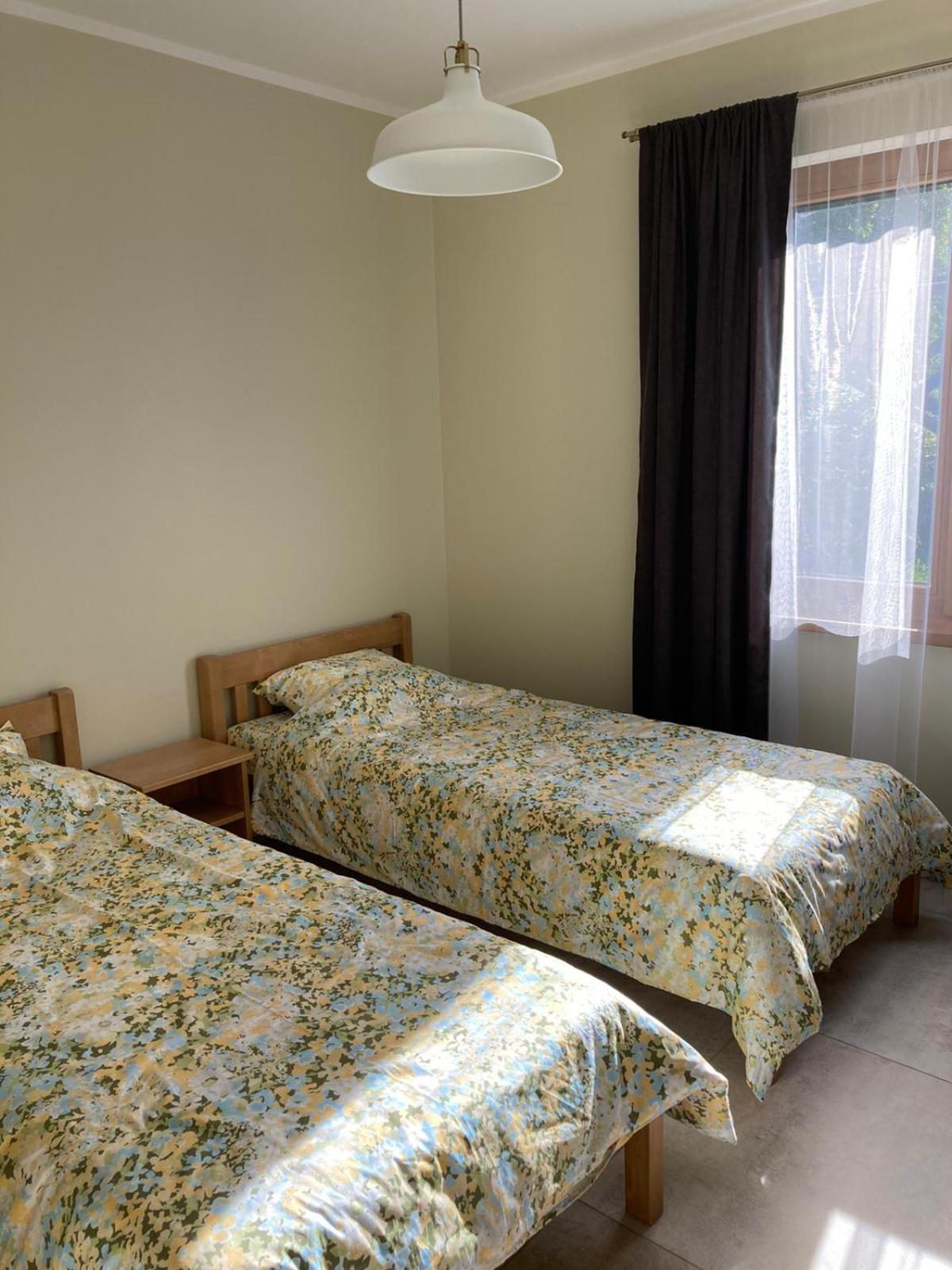 Apartment with Terrace photo 3