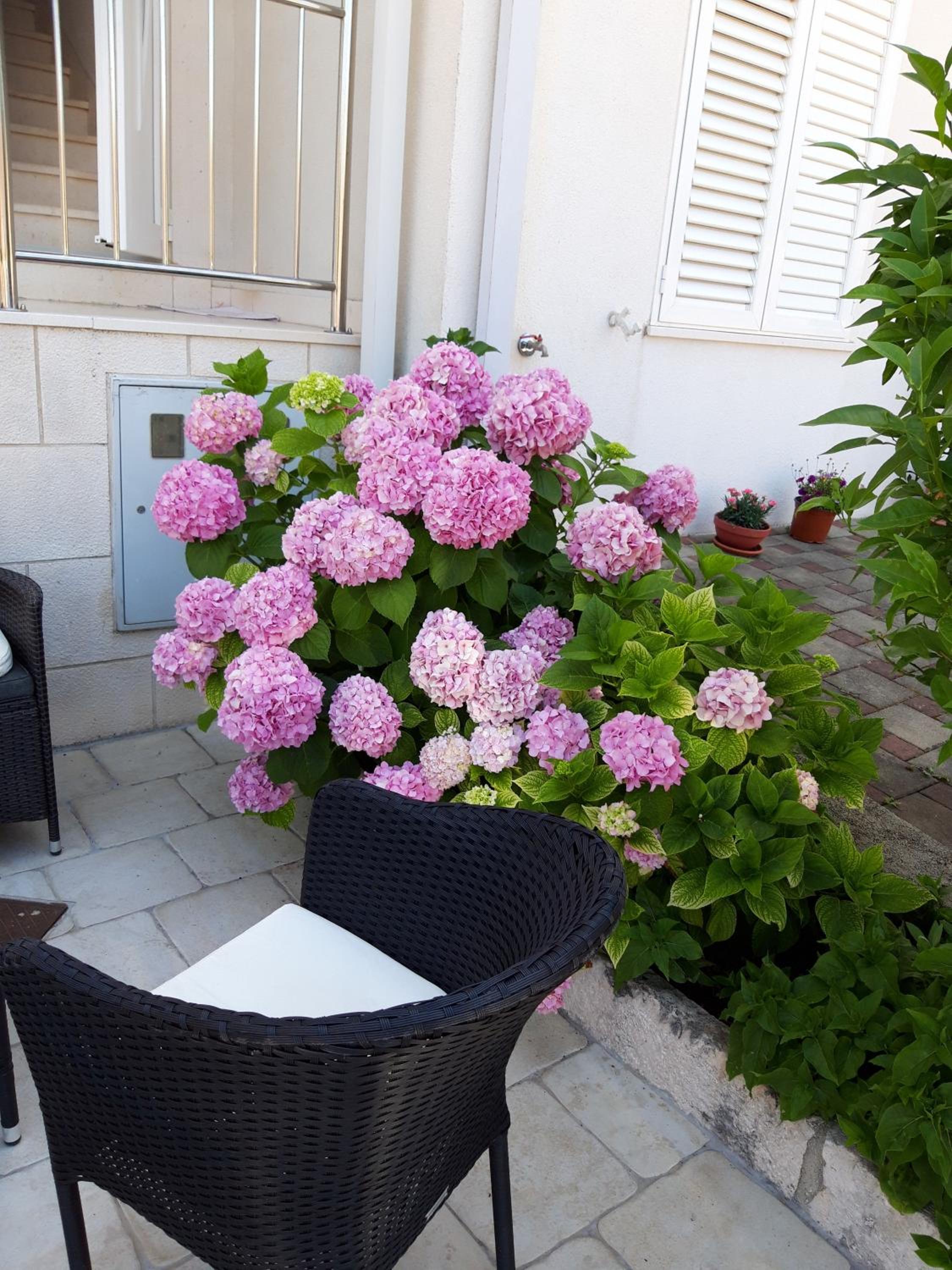 One-Bedroom Apartment with Terrace thumbnail 5