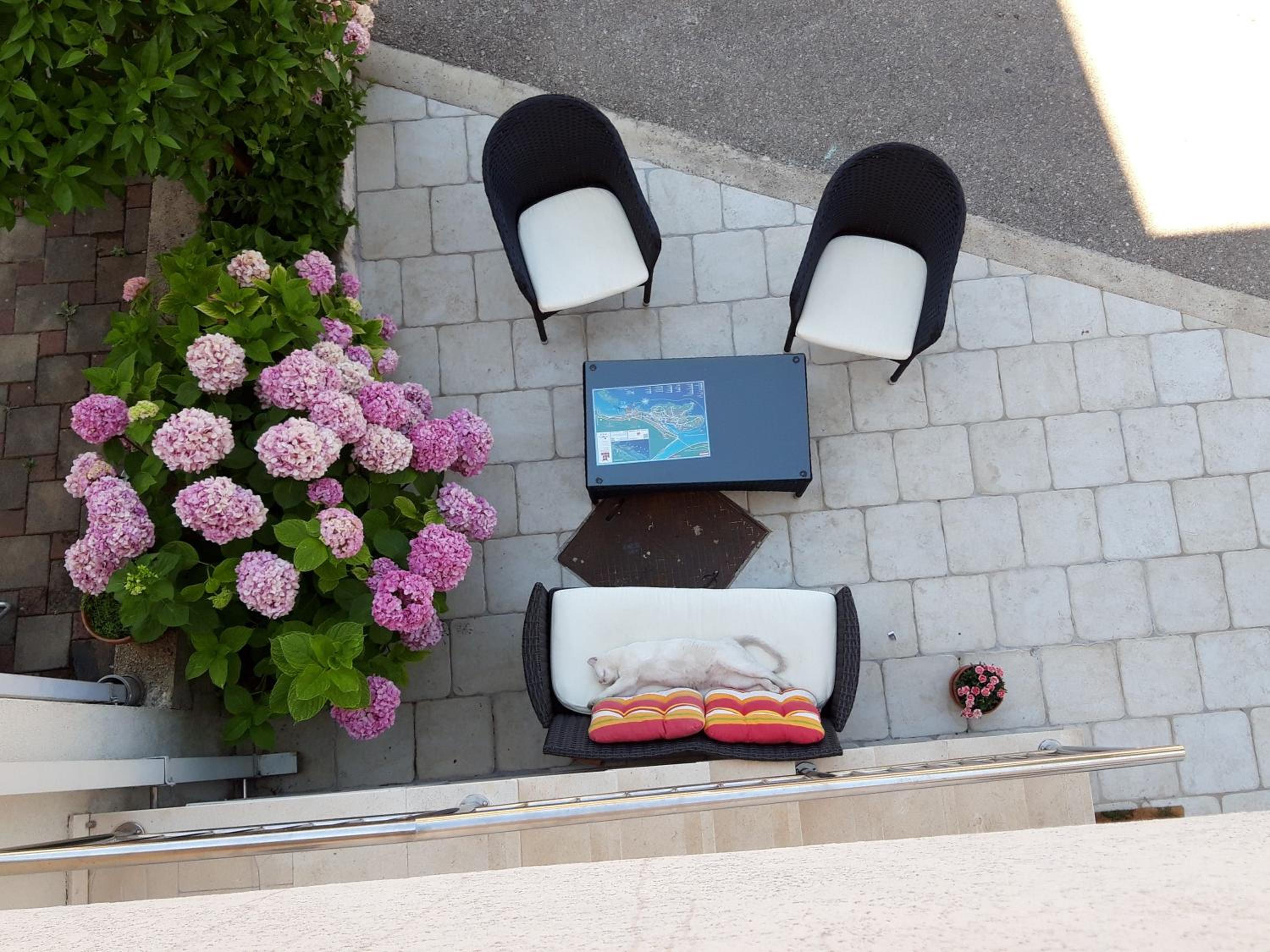 One-Bedroom Apartment with Terrace