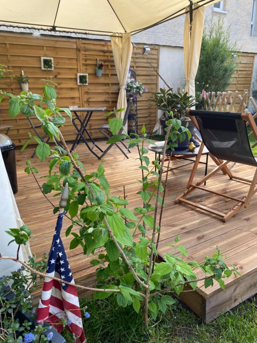 Superior Double or Twin Room with Garden View
