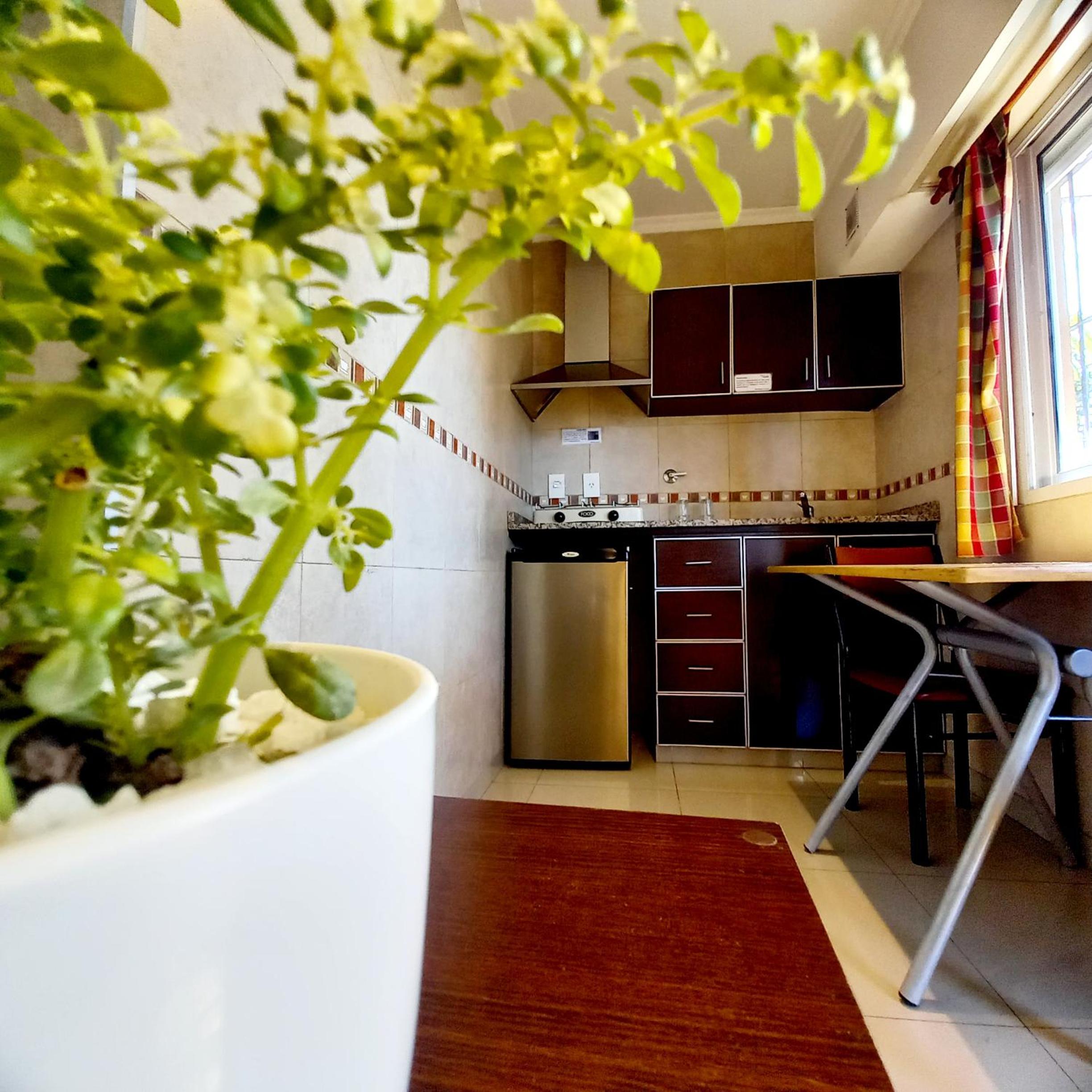 Superior Apartment photo 3