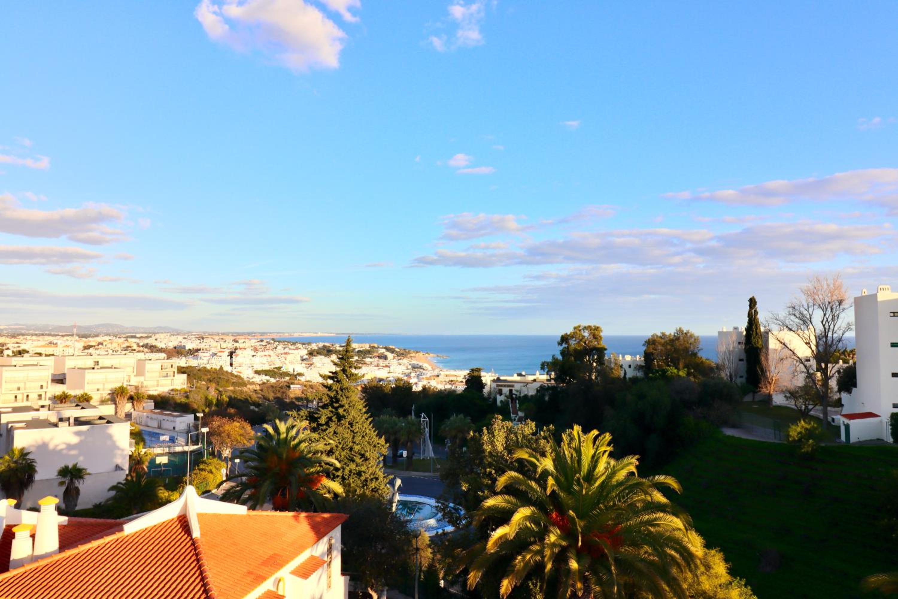 One-Bedroom Apartment with Sea View photo 3