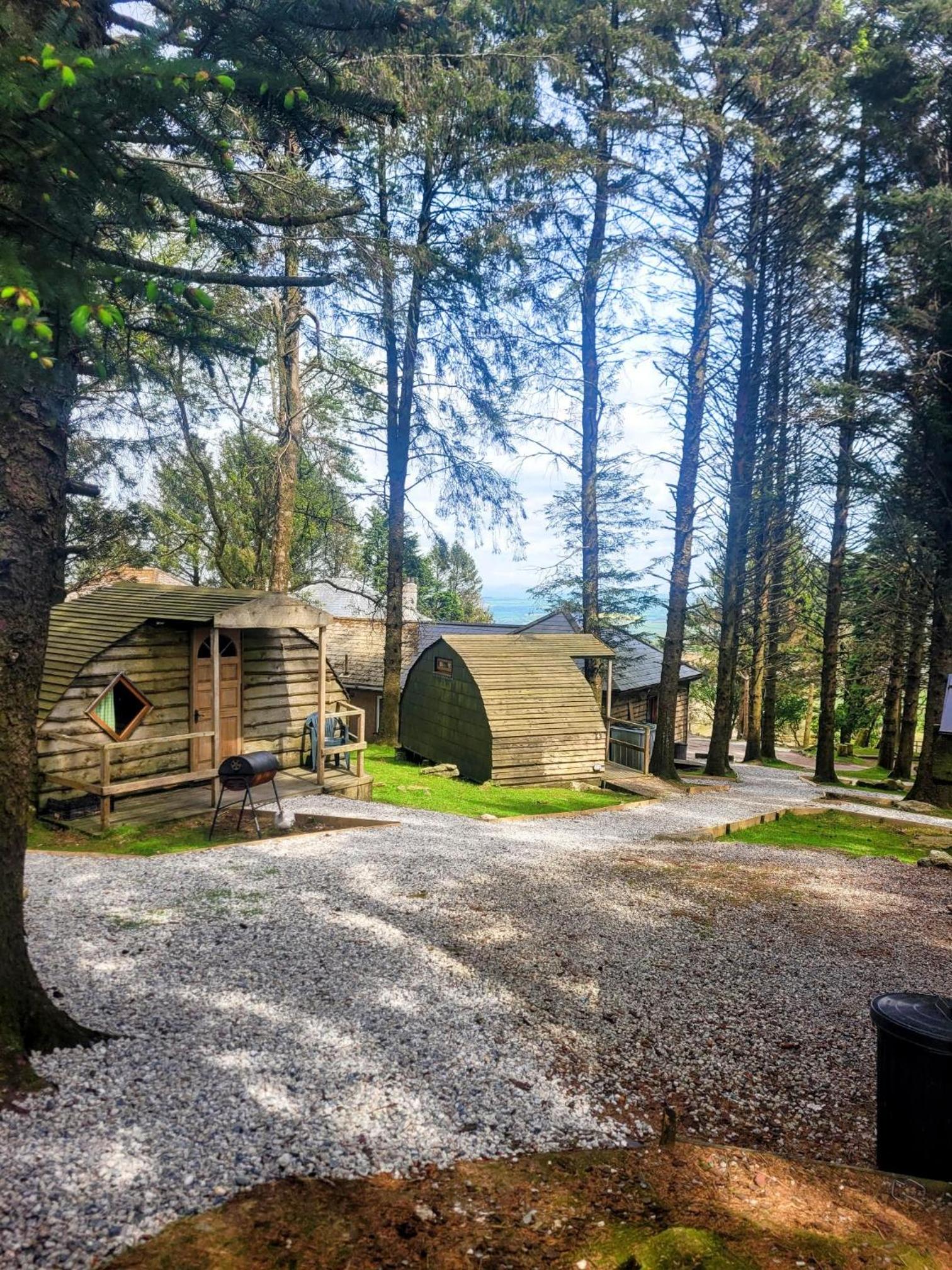 Glamping Pod - Photo 10
