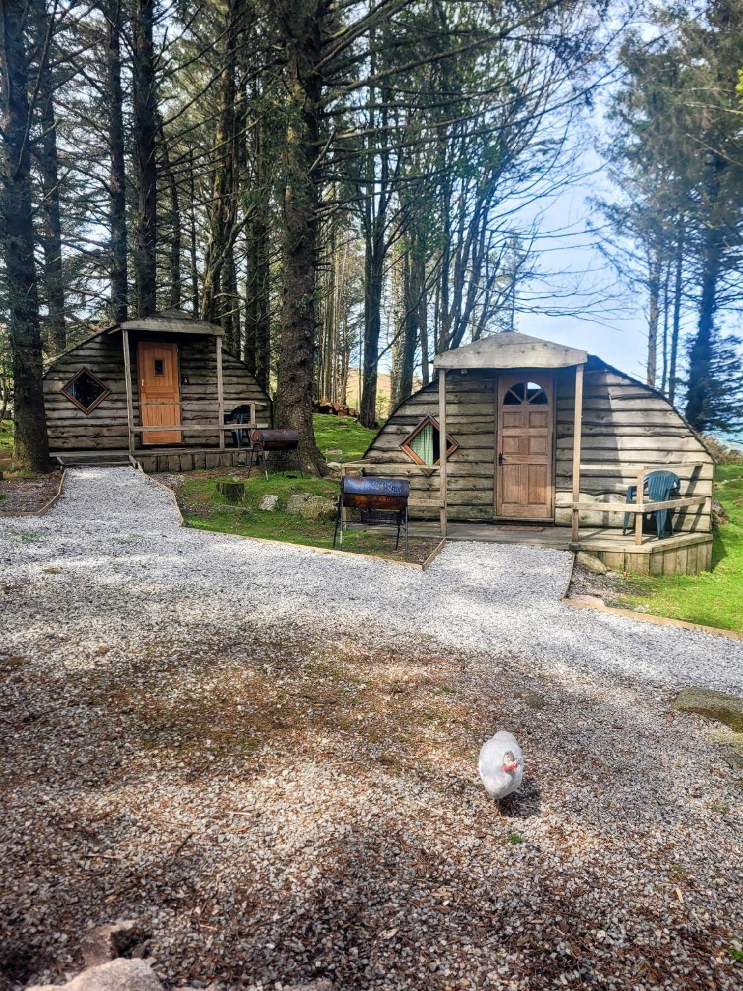 Glamping Pod - Photo 15
