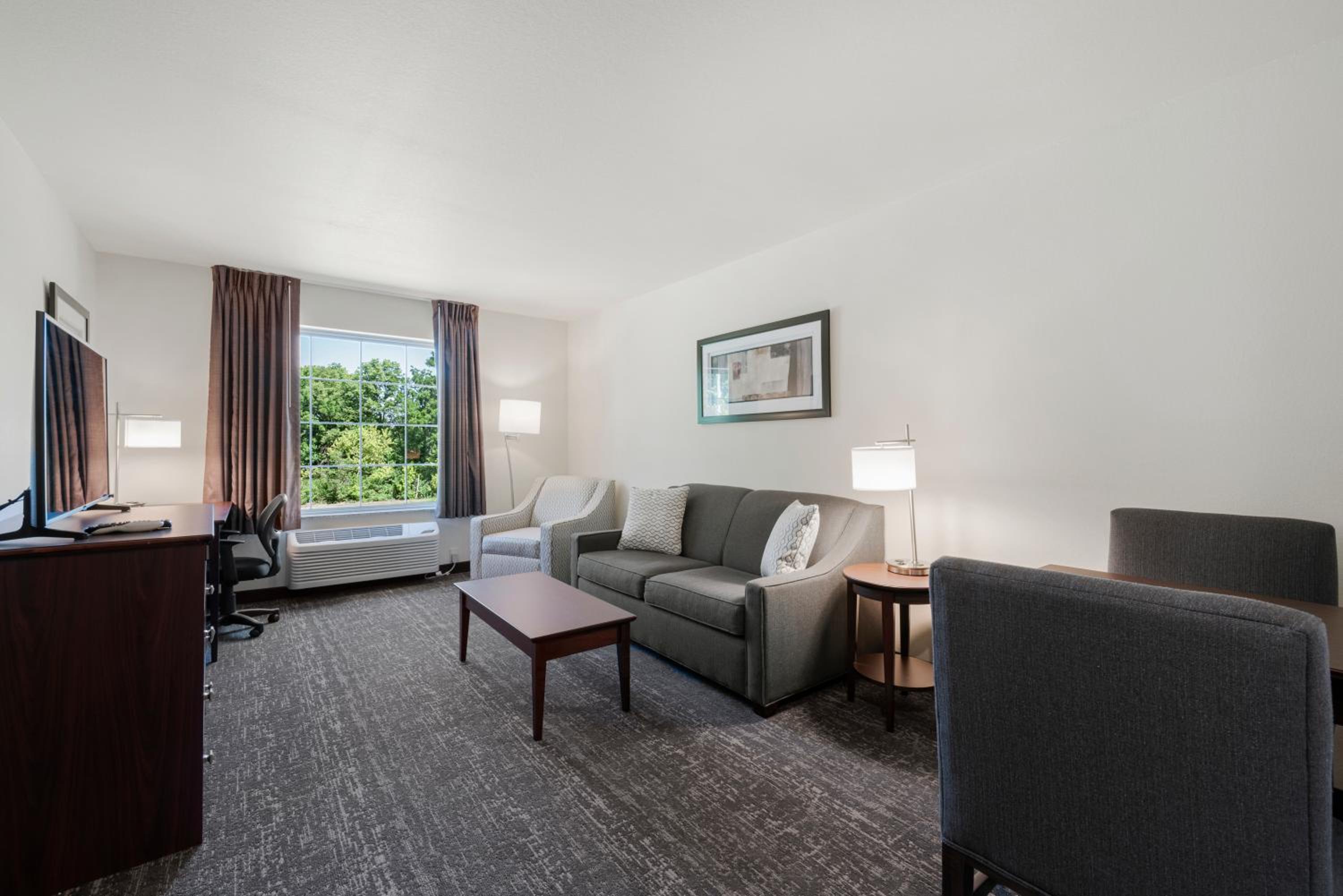 One-Bedroom Suite - Photo 9
