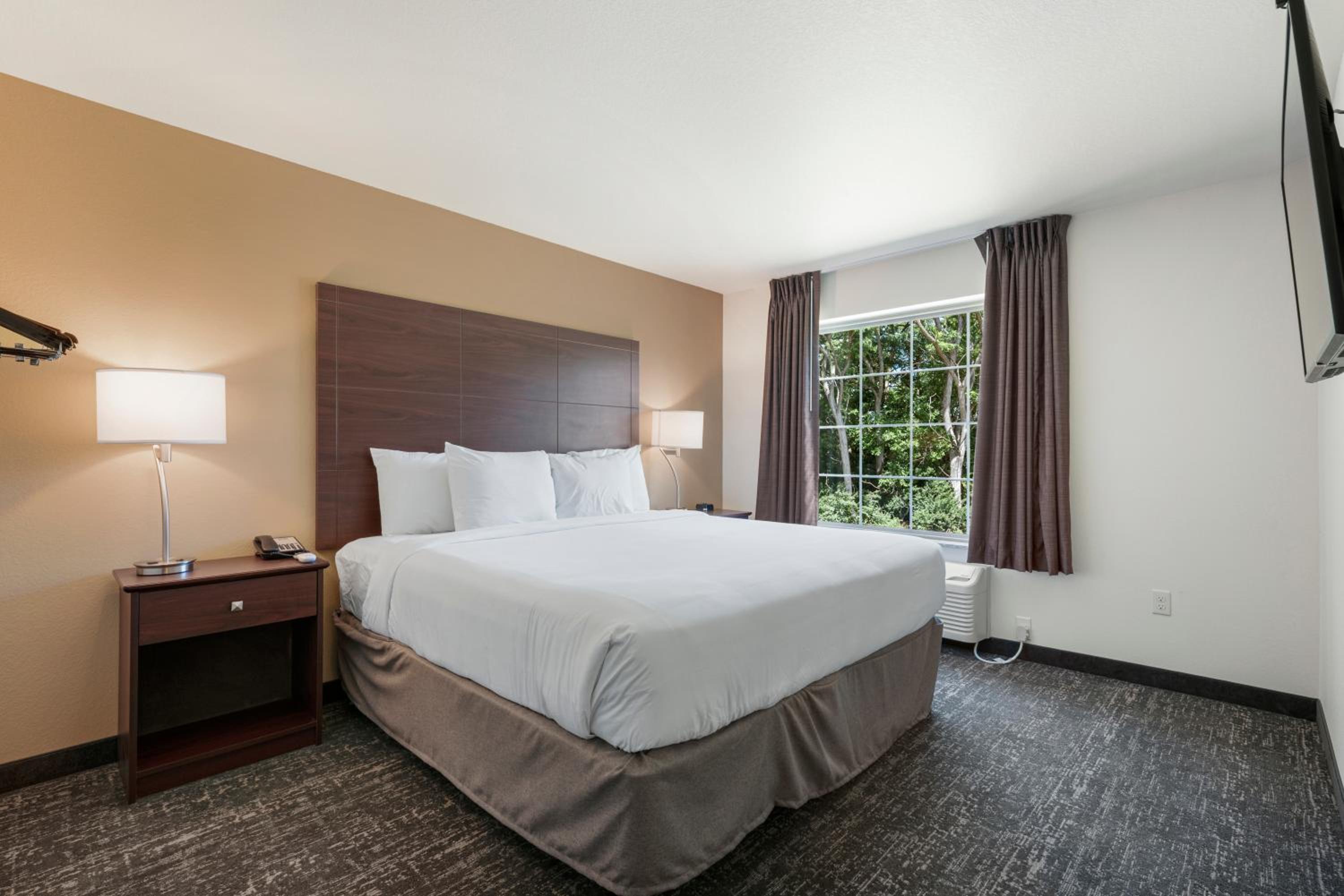 One-Bedroom Suite - Photo 6