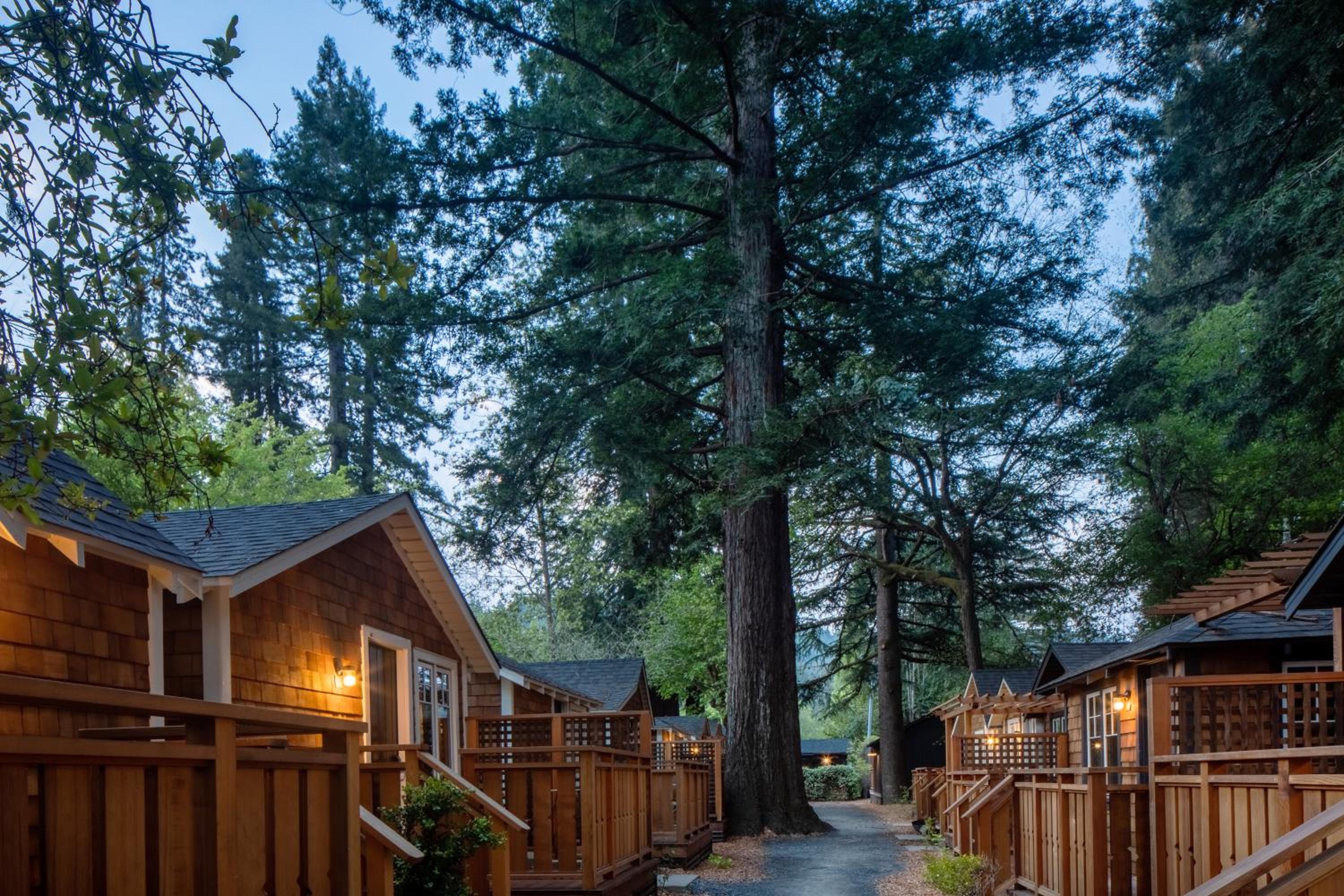 Redwood Cabin - Photo 2