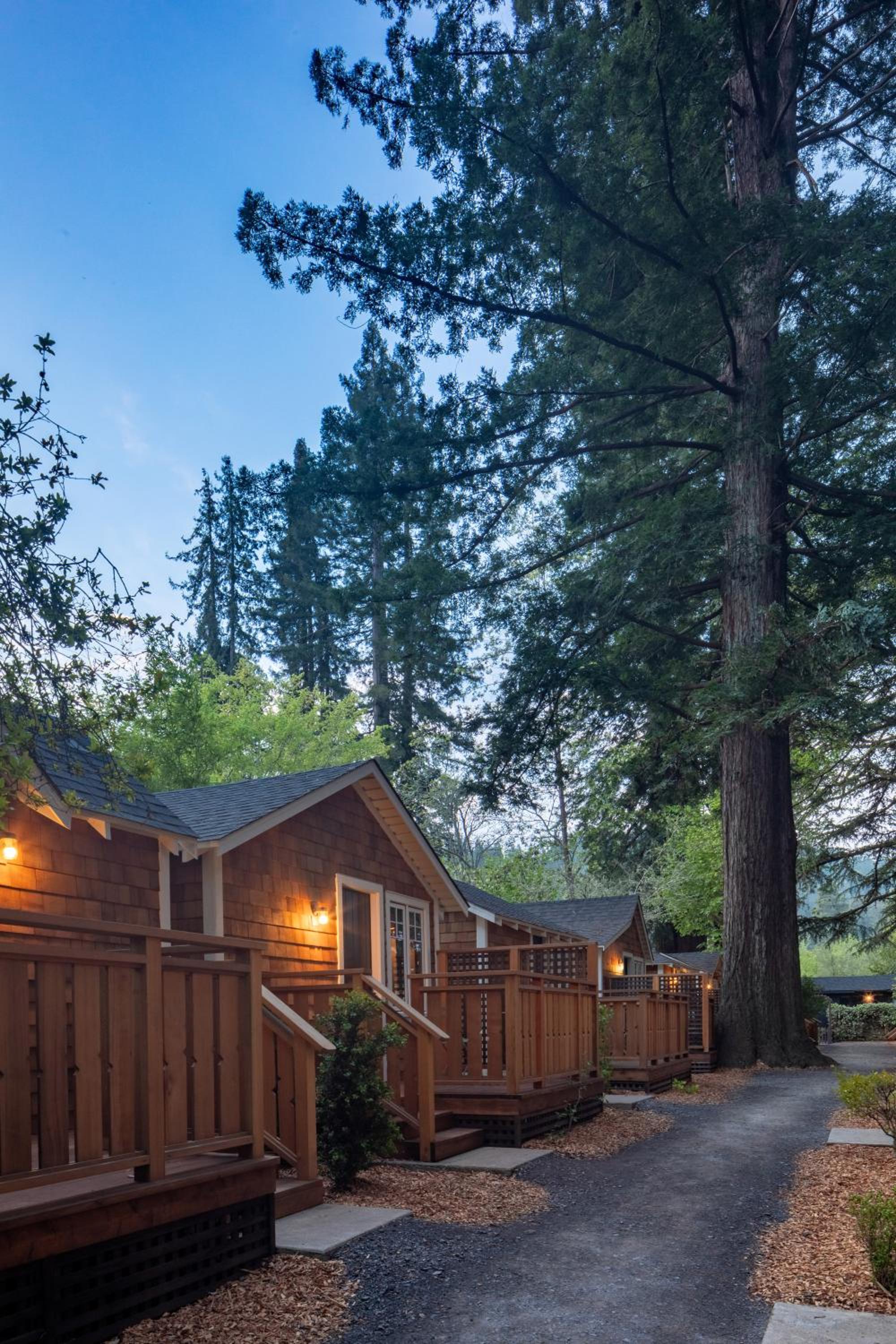 Redwood Cabin - Photo 5