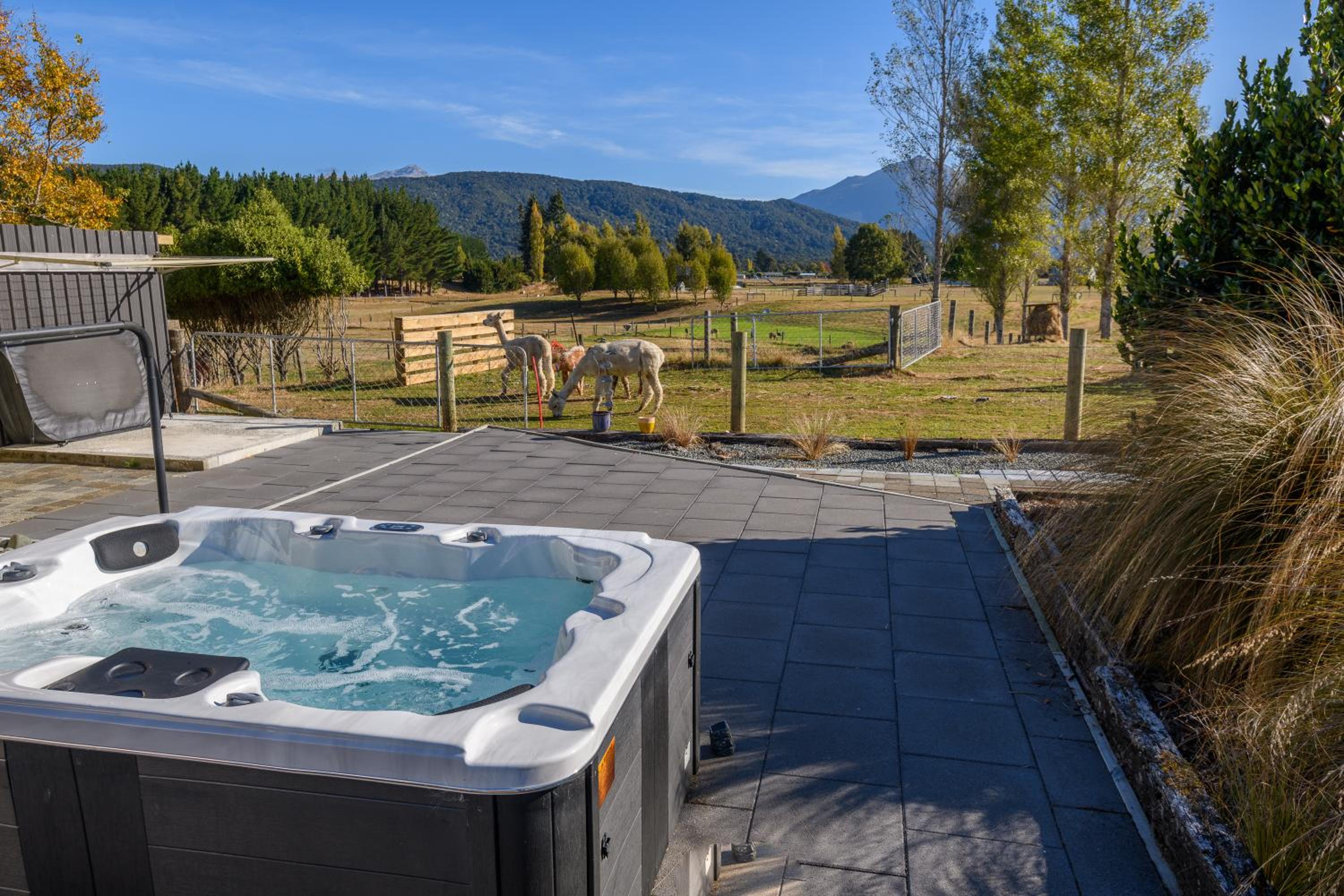 Double Room with Mountain View - Photo 7