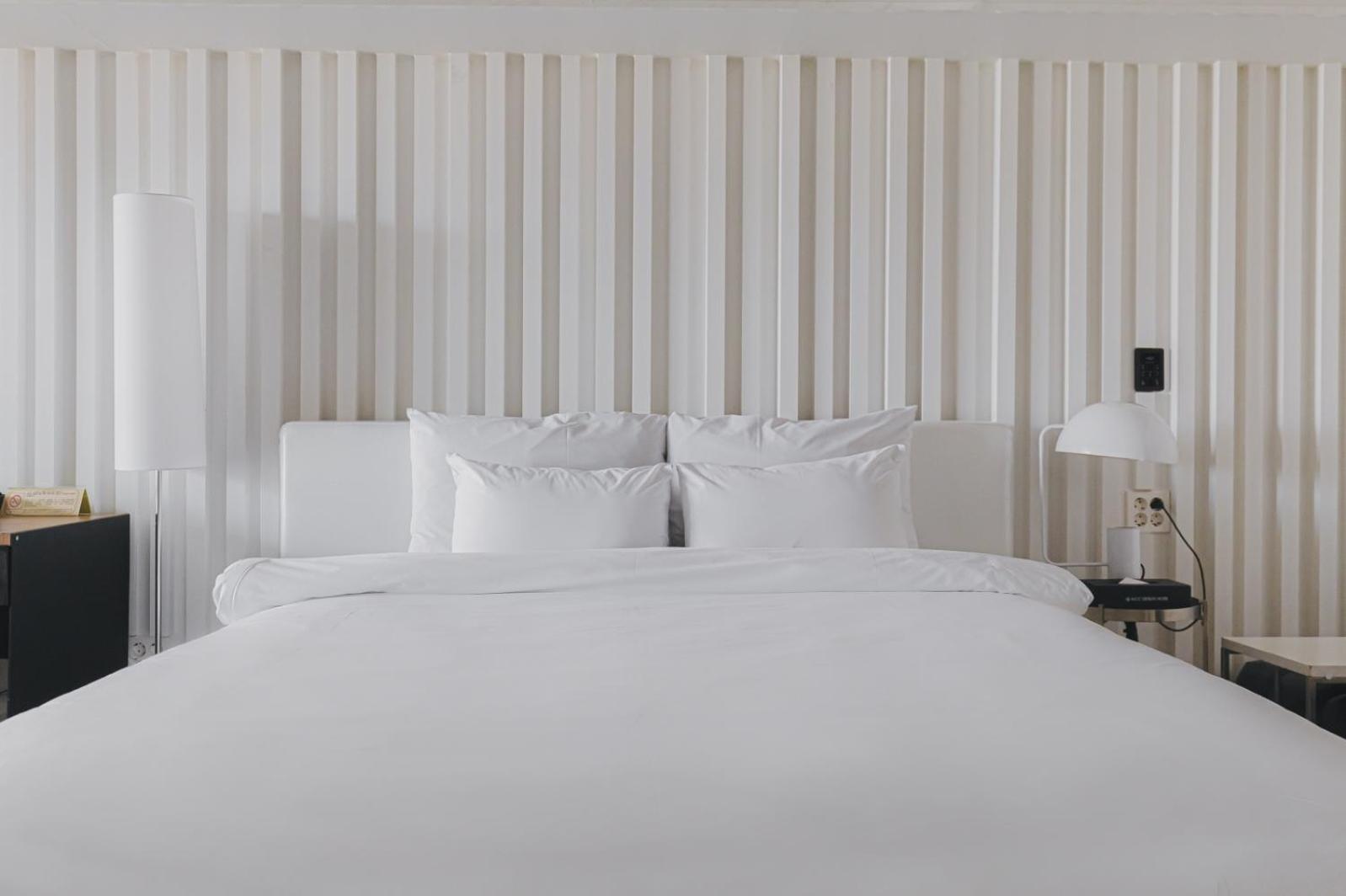 Creation Suite with Terrace