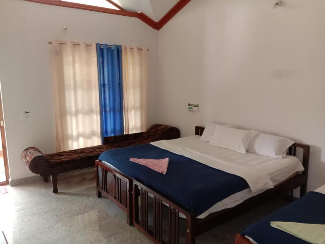 One-Bedroom House photo 2