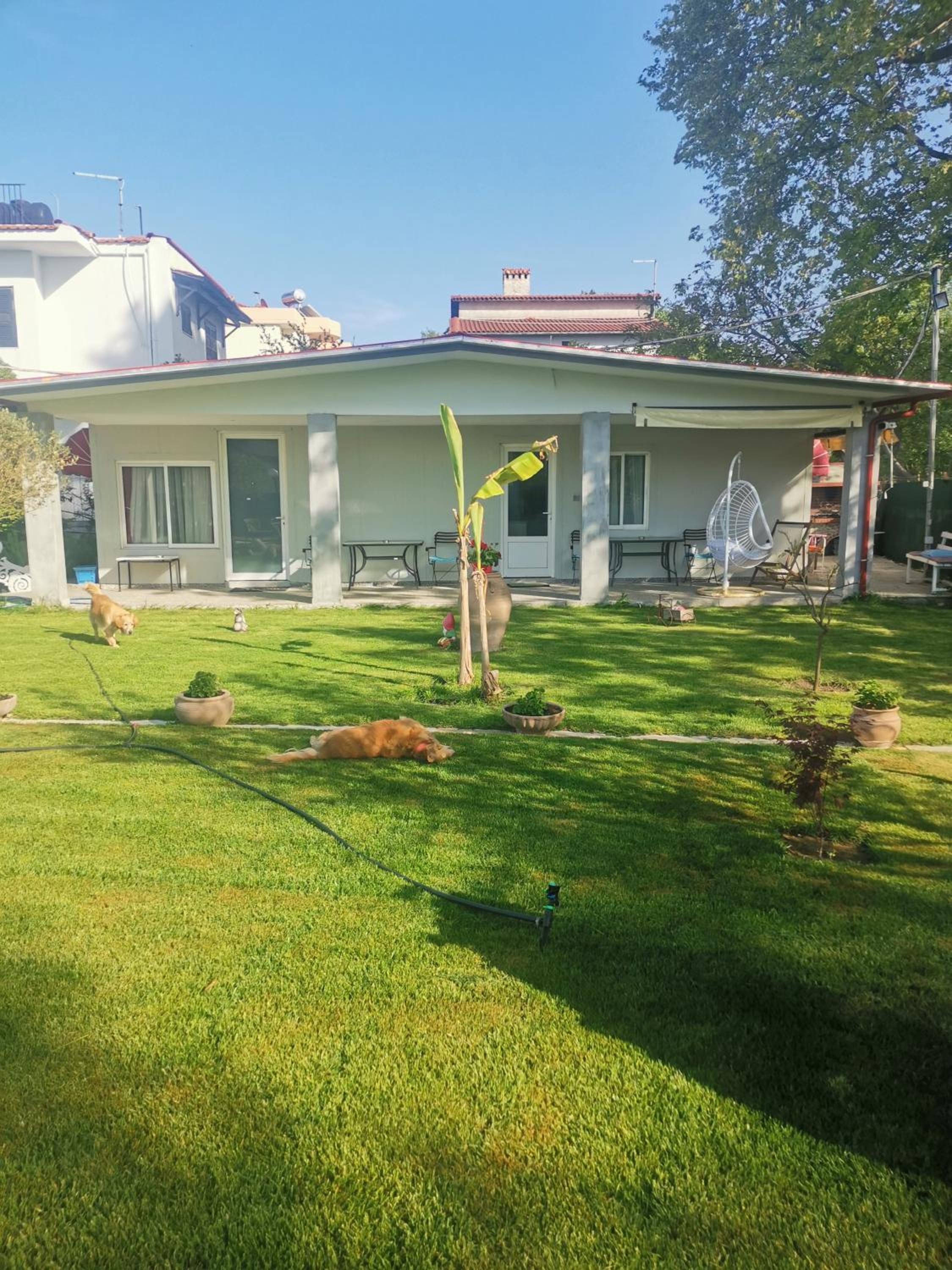 One-Bedroom Bungalow - Photo 2