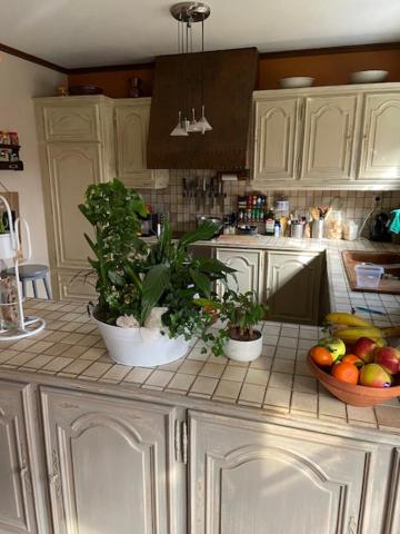 Three-Bedroom House photo 3
