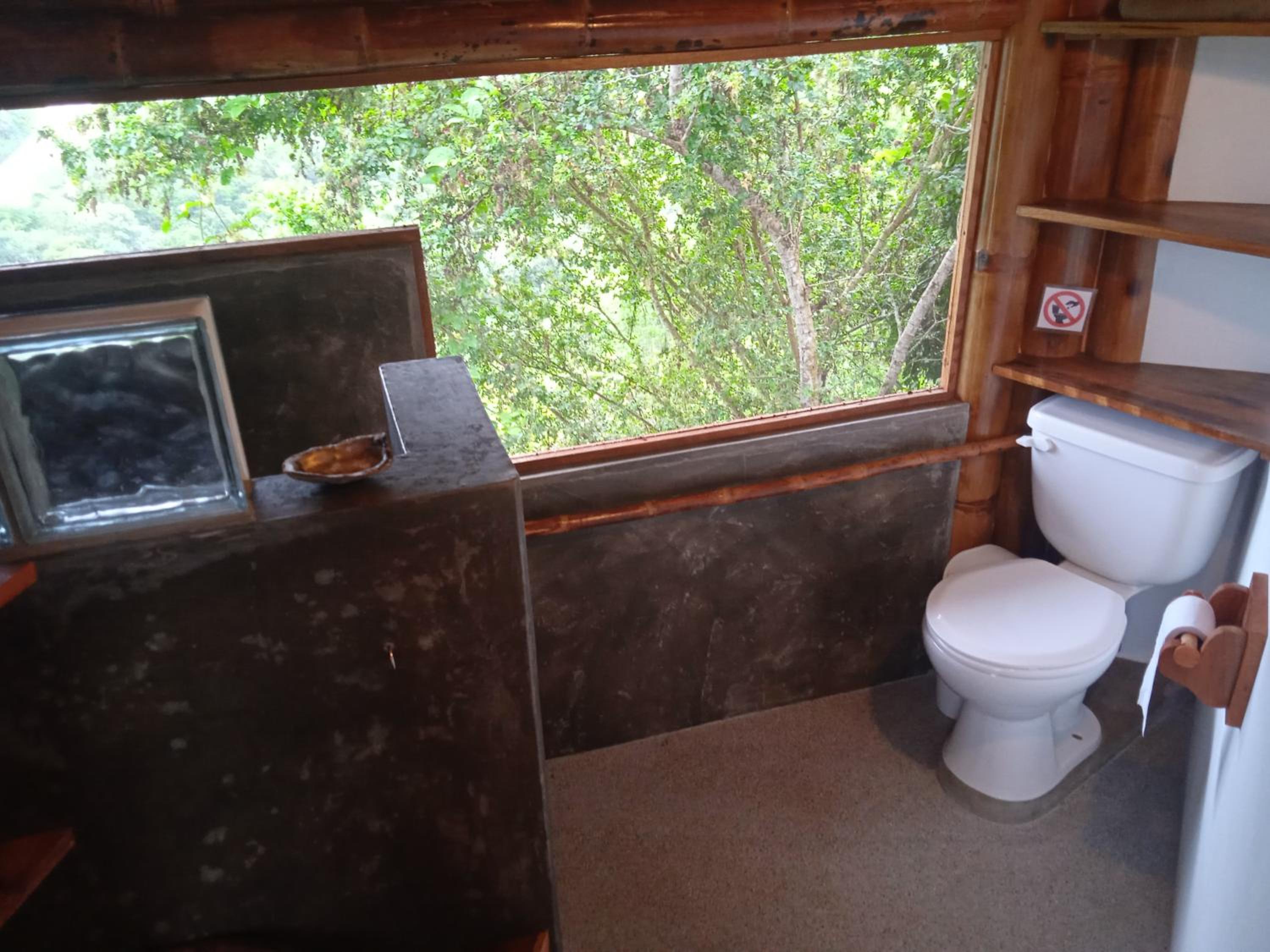 Studio with Ocean View photo 3