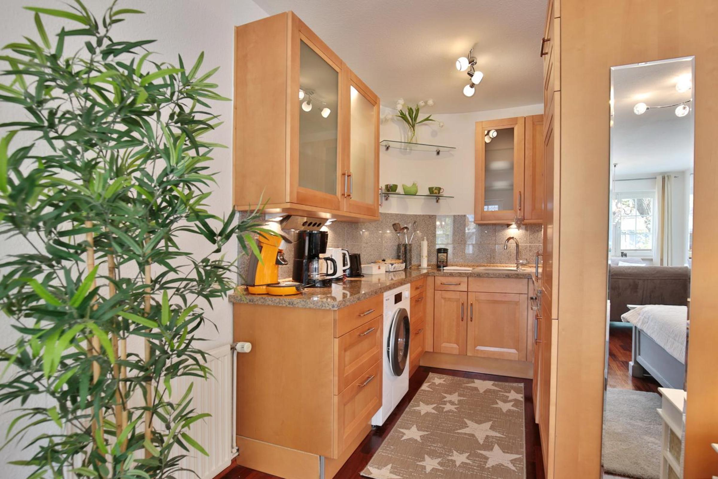 One-Bedroom Apartment photo 3