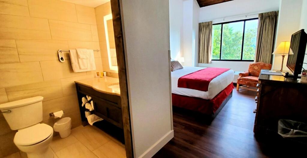 Single Room - Disability Access photo 1