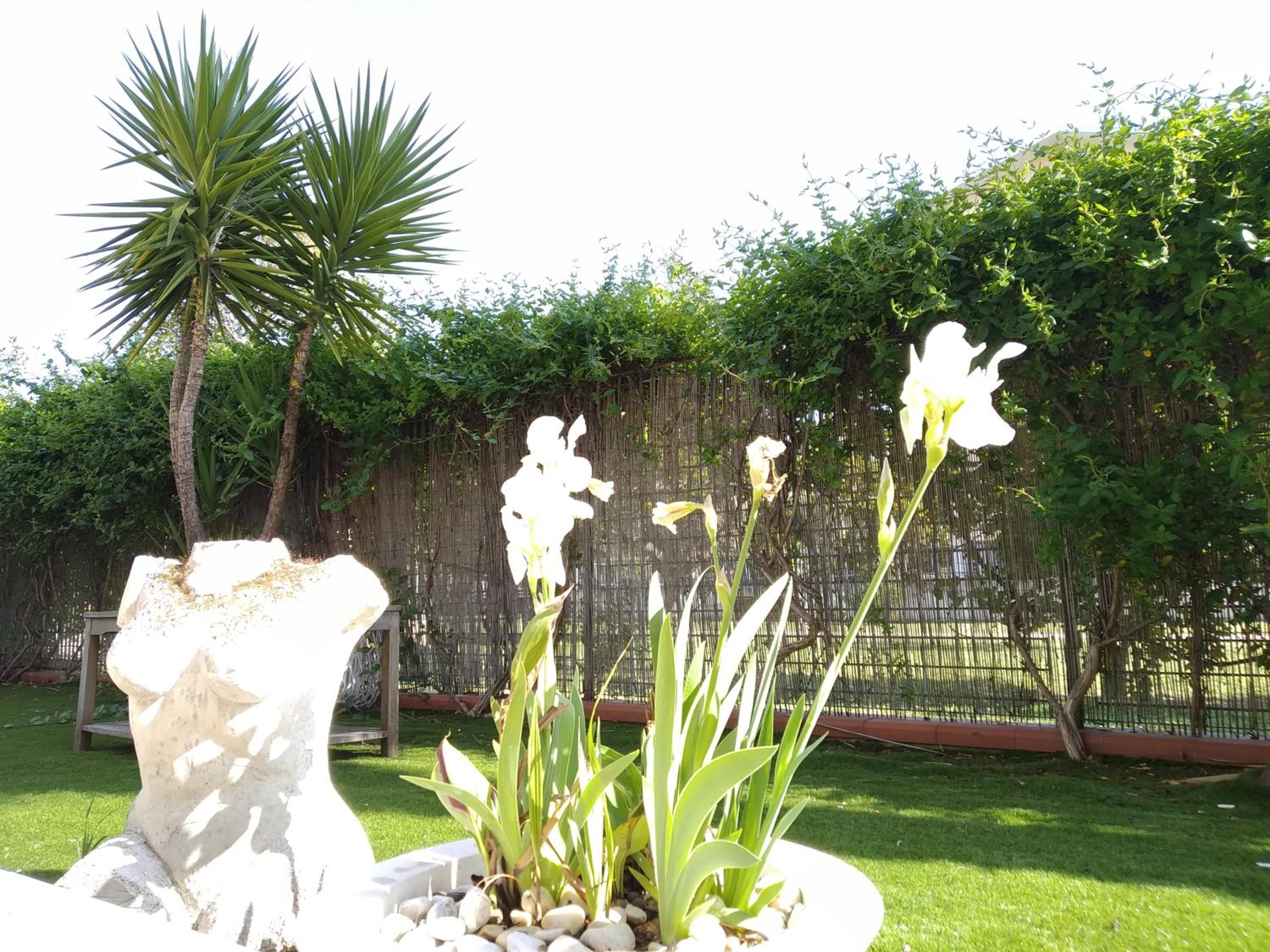 Apartment with Garden View photo 1