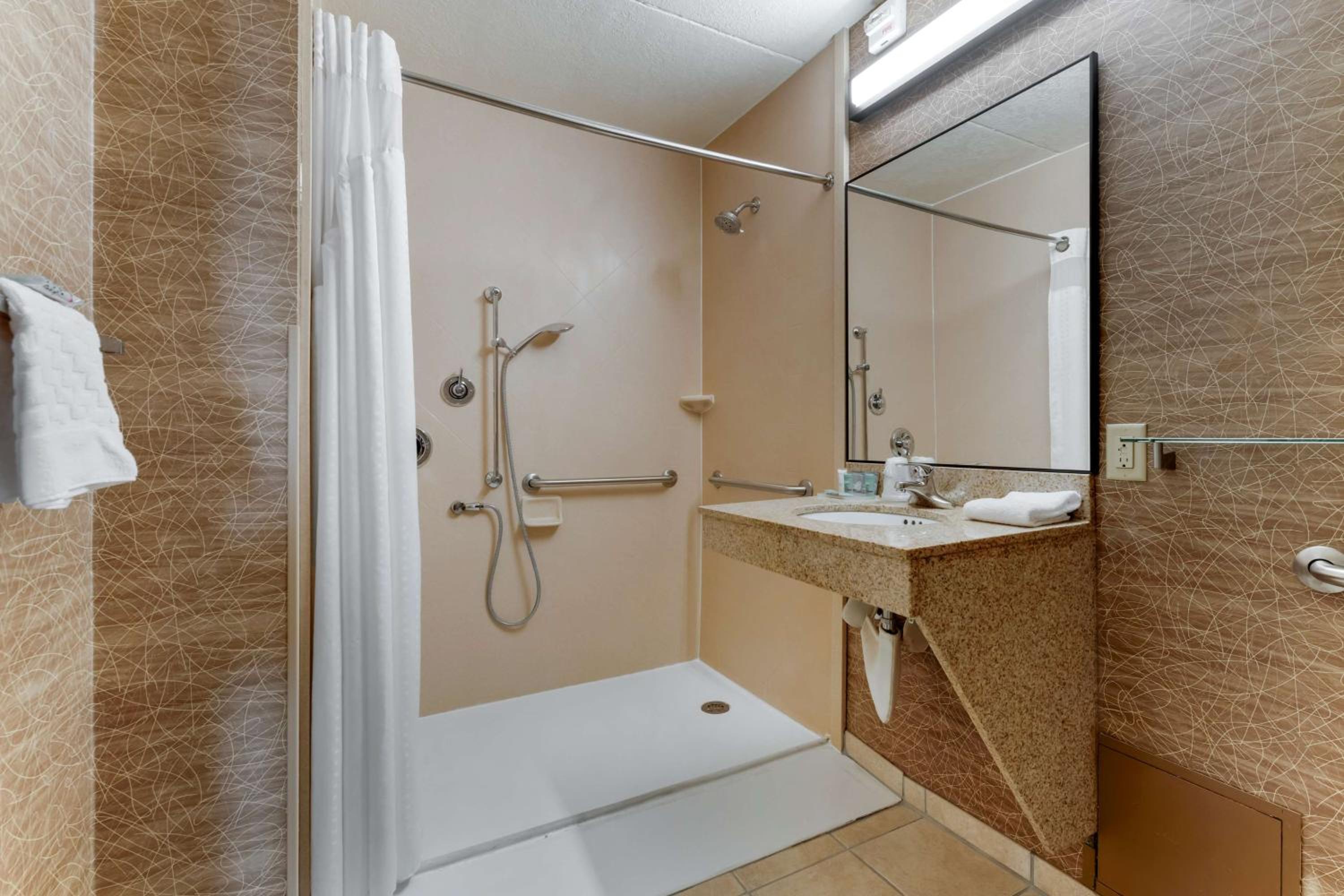 King Room - Mobility Accessible  - Photo 3