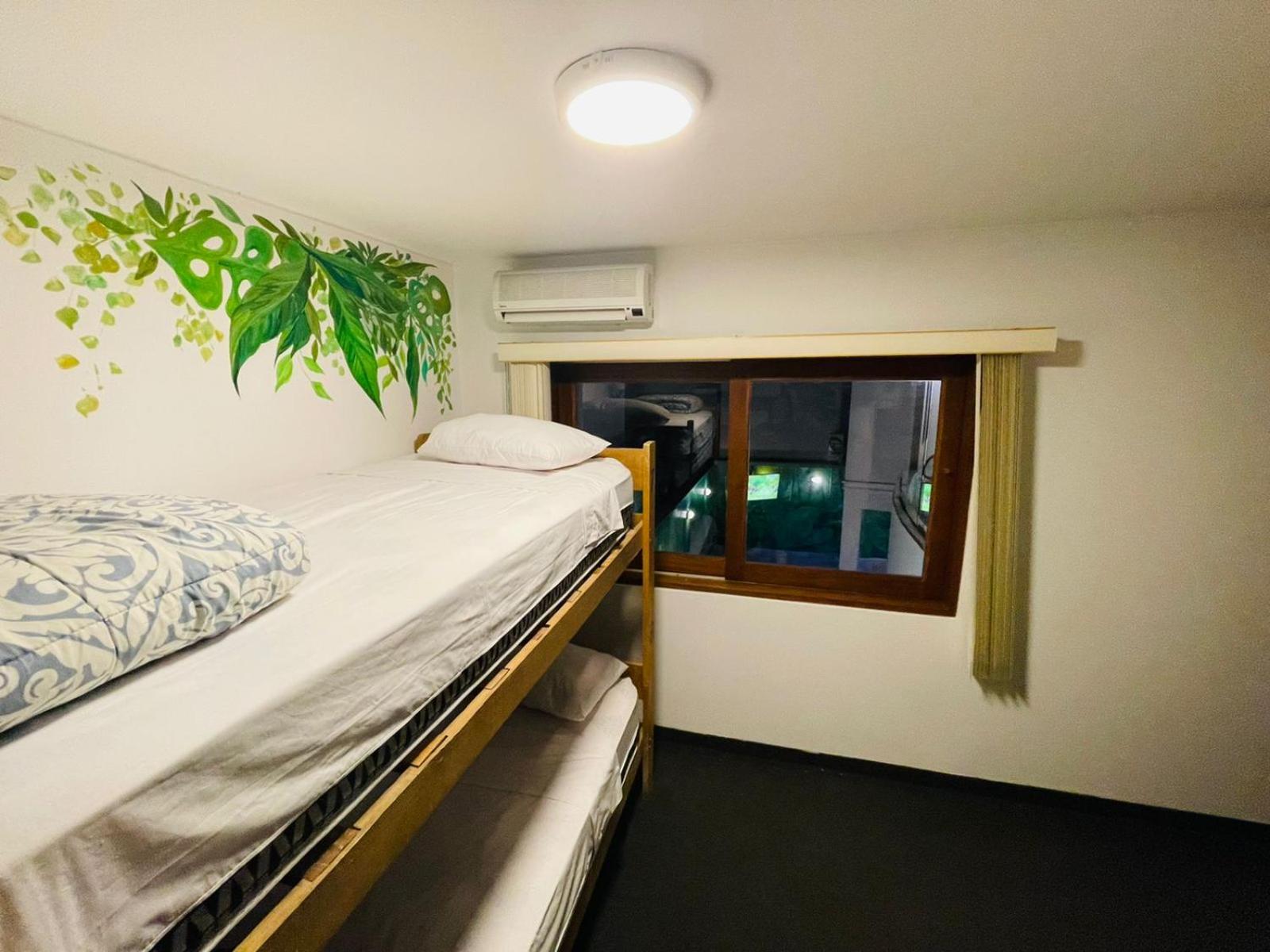 Comfort Quadruple Room photo 1