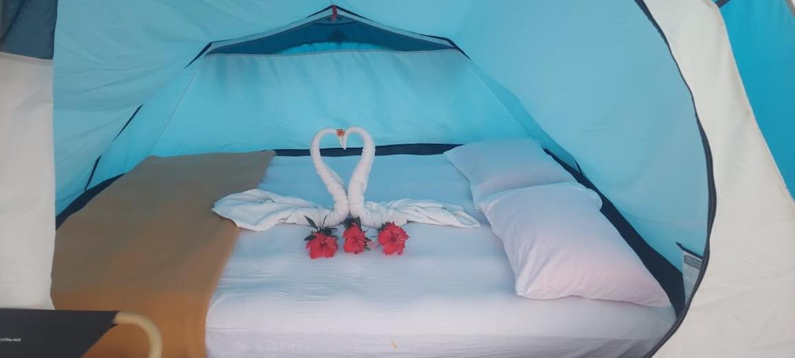 Tent photo 1